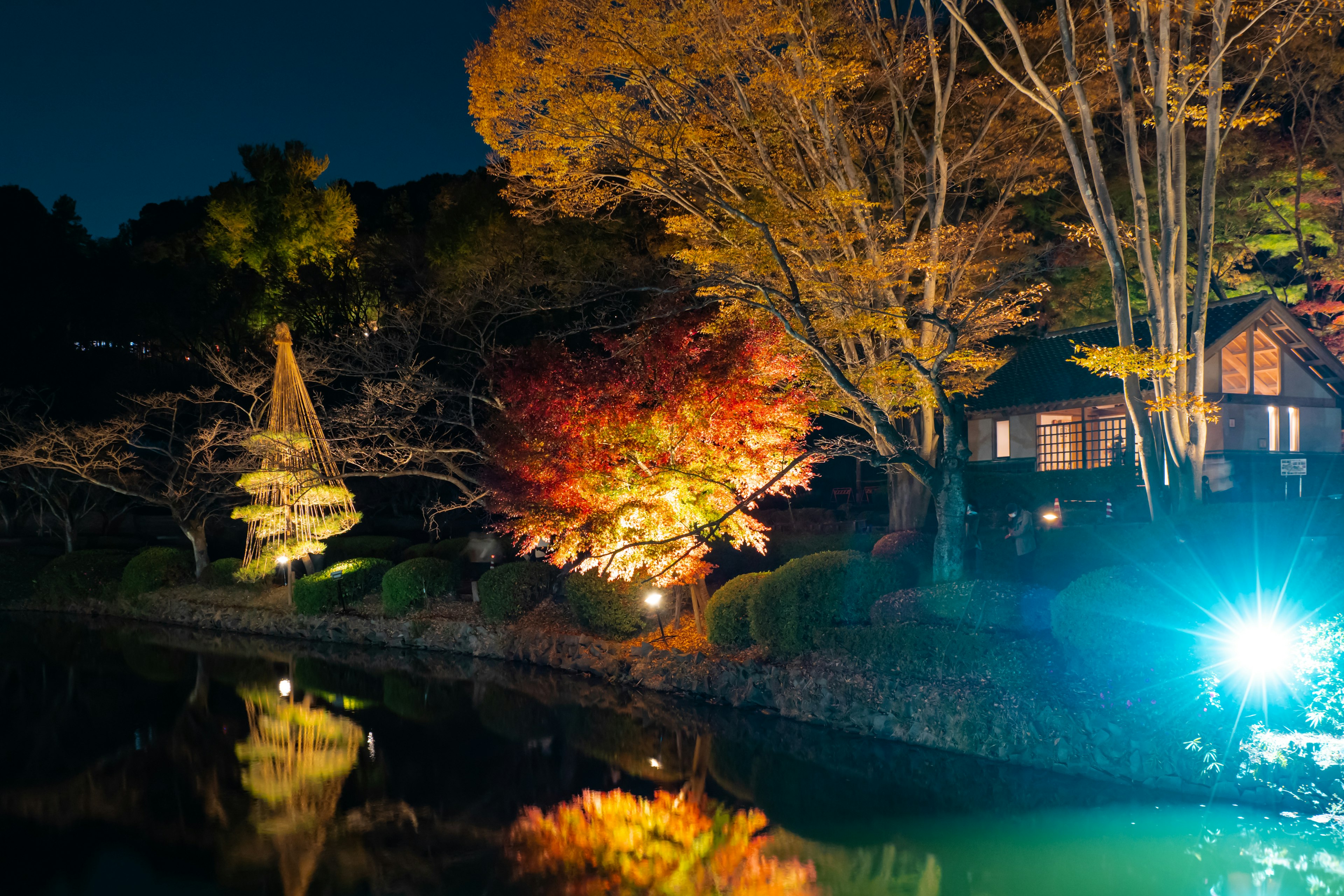 Hojas de otoño coloridas iluminadas en un jardín nocturno