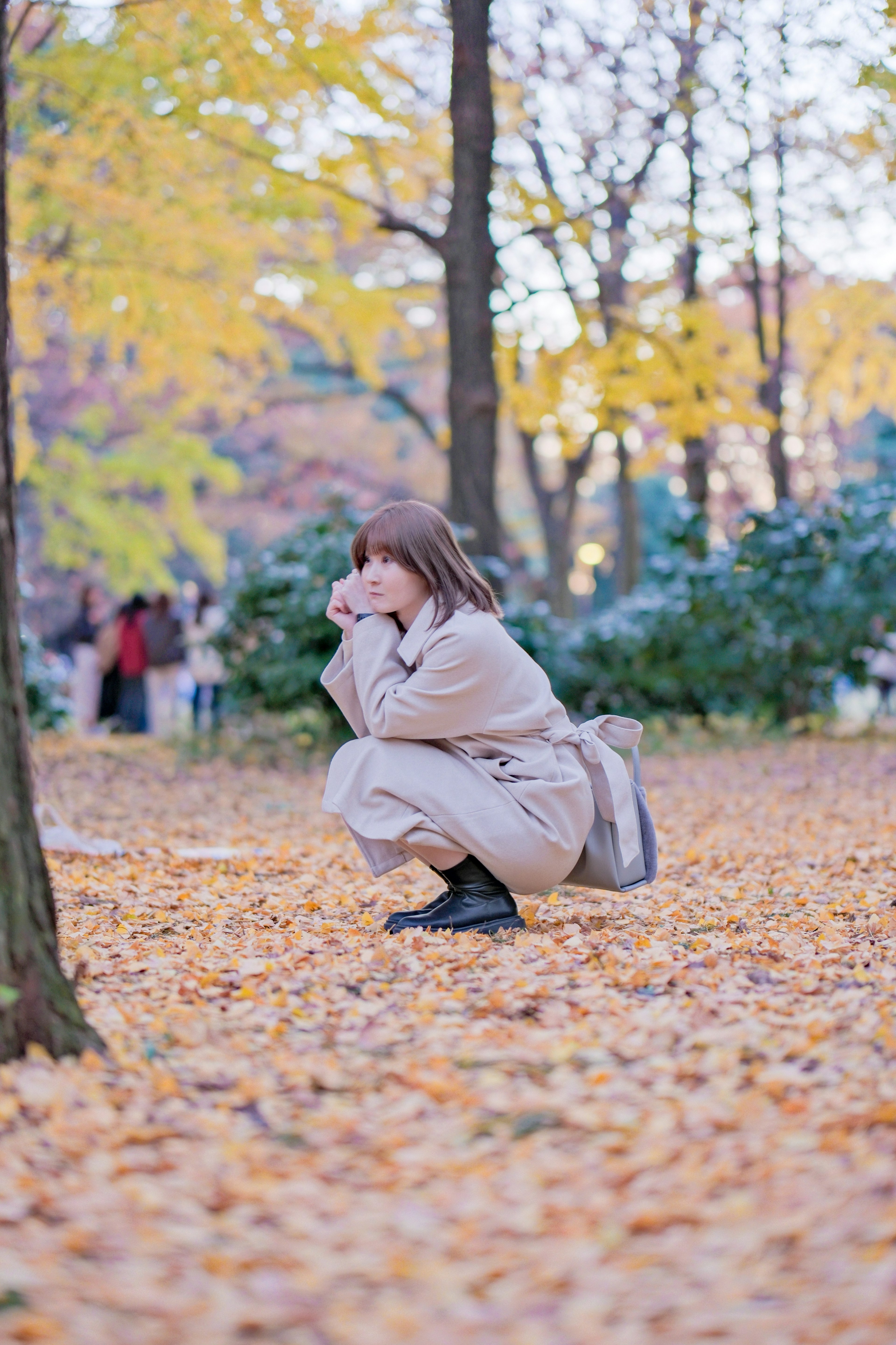 秋の公園で落ち葉の上にしゃがむ女性