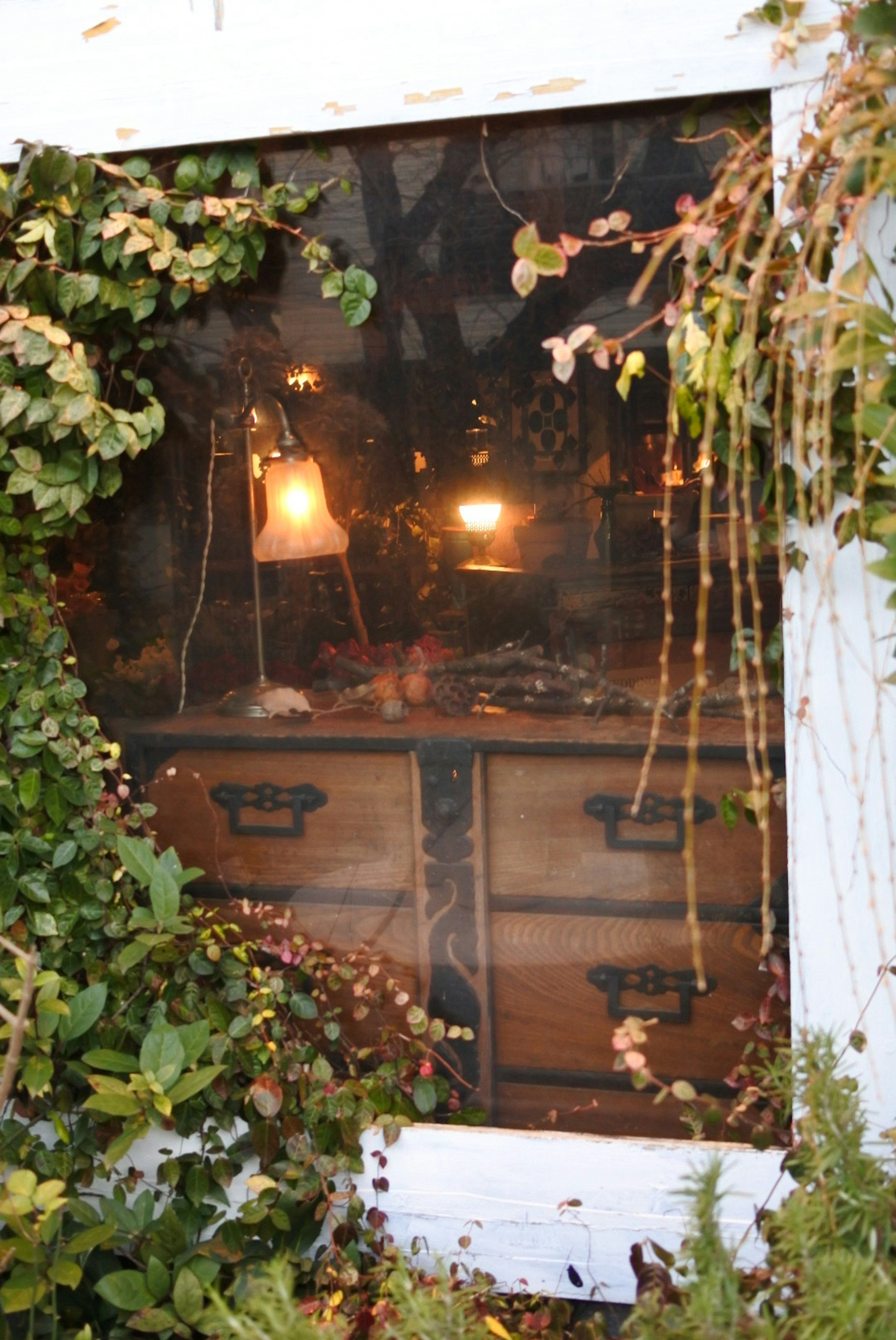 Wooden drawers and soft glowing lamps visible through a window surrounded by greenery