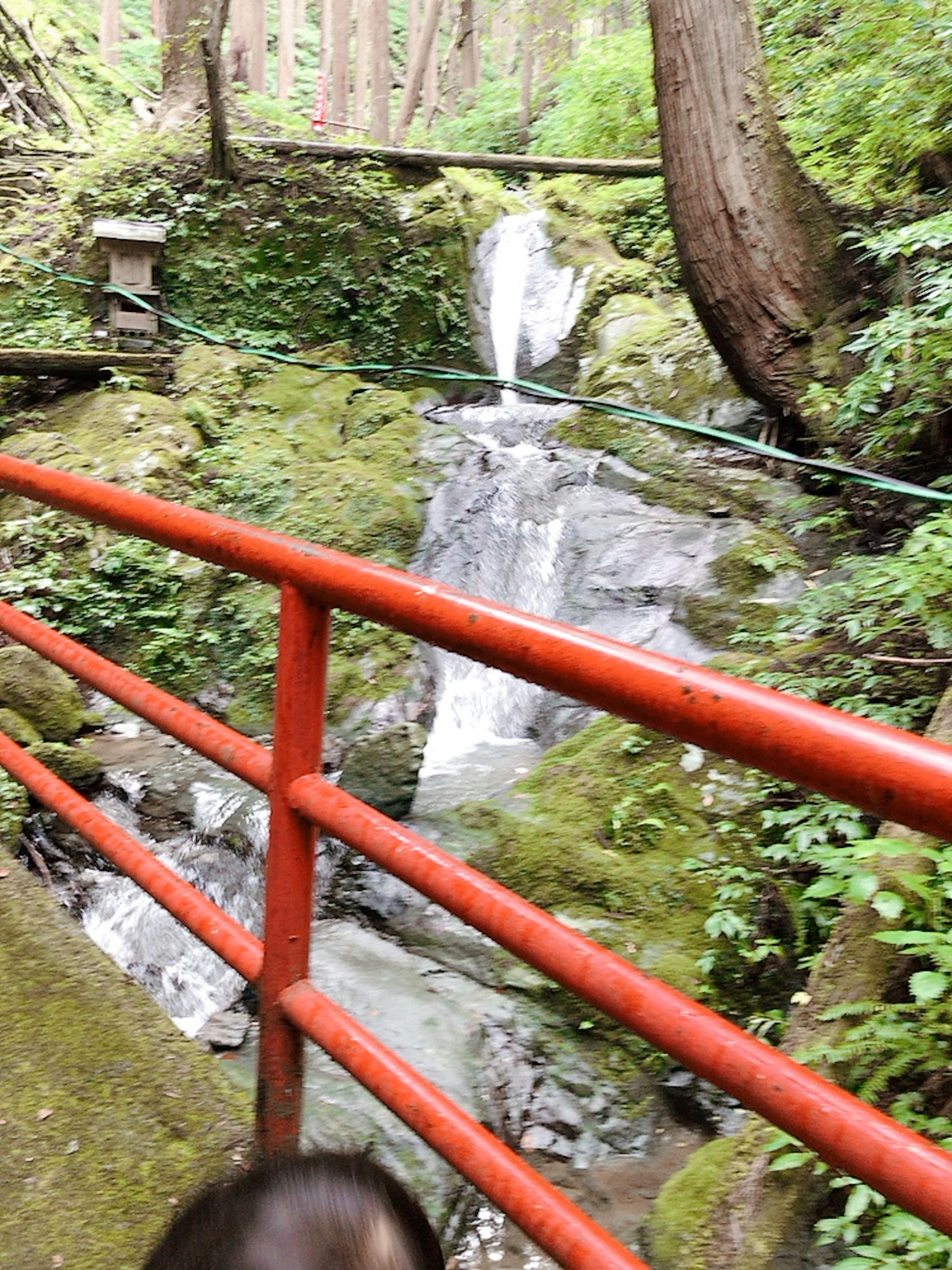 Piccola cascata in una foresta verdeggiante con una ringhiera rossa