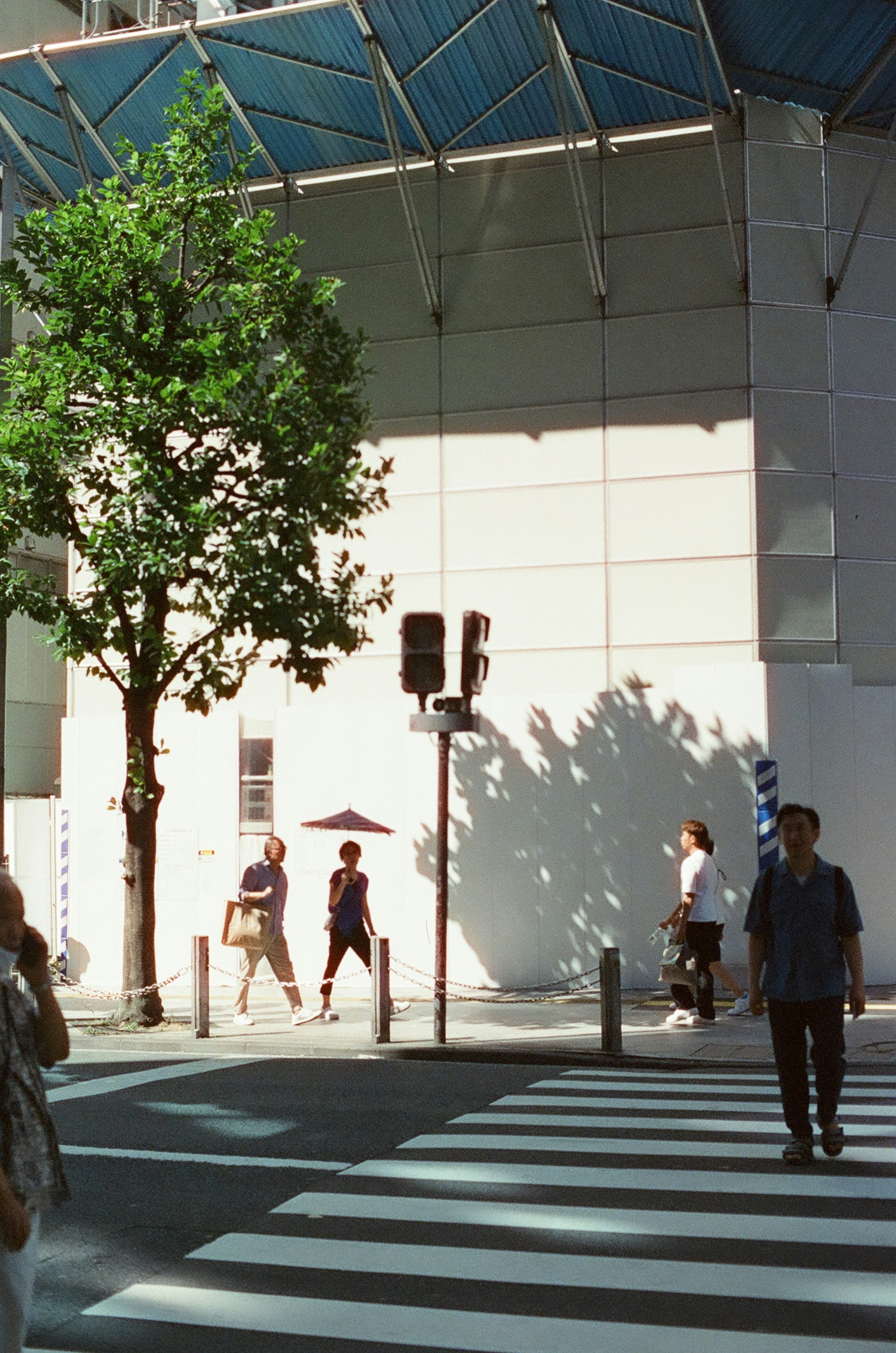 Cityscape with pedestrians crossing the street and a tree