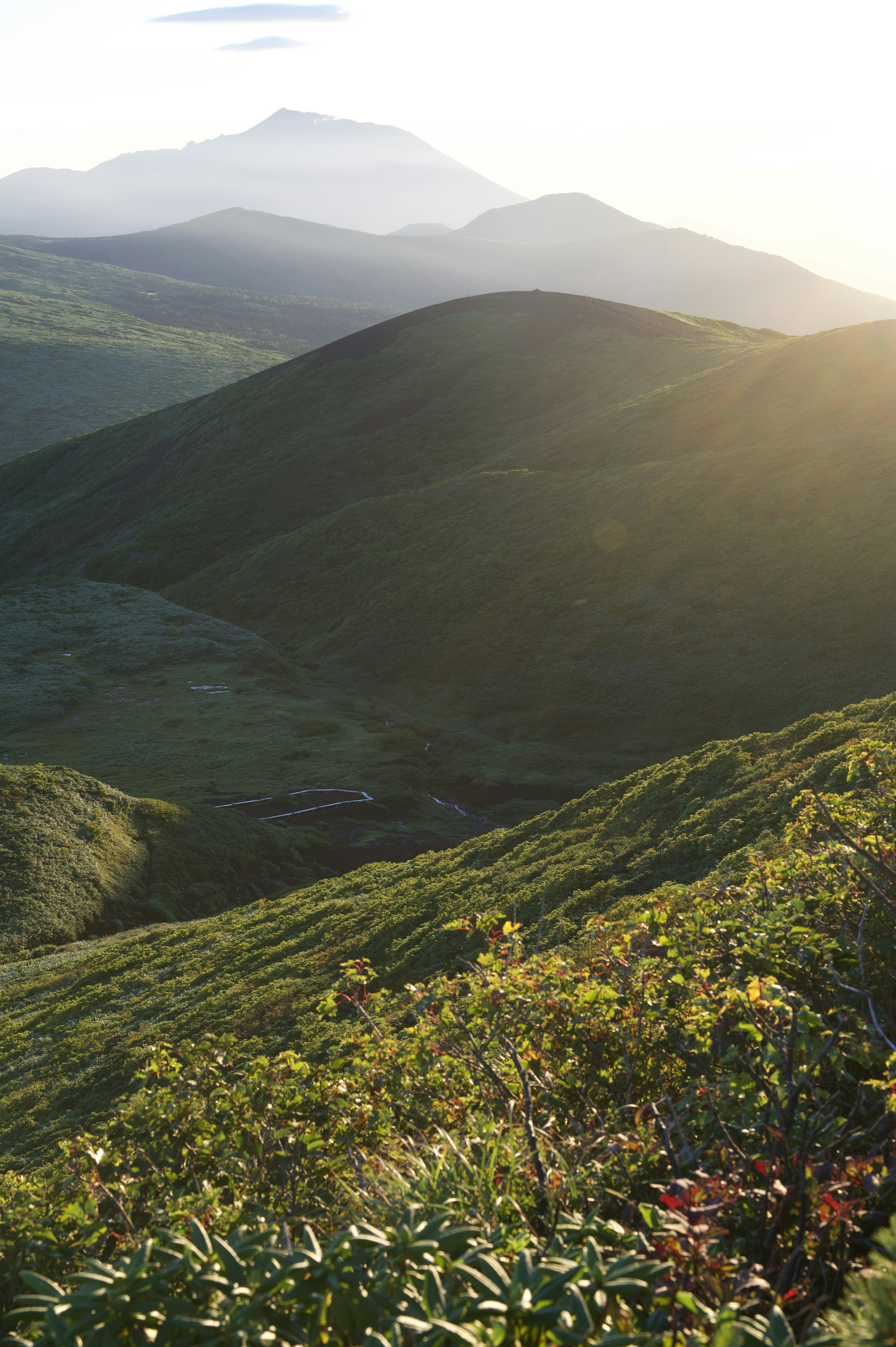 美しい緑の丘と遠くの山々を背景にした風景