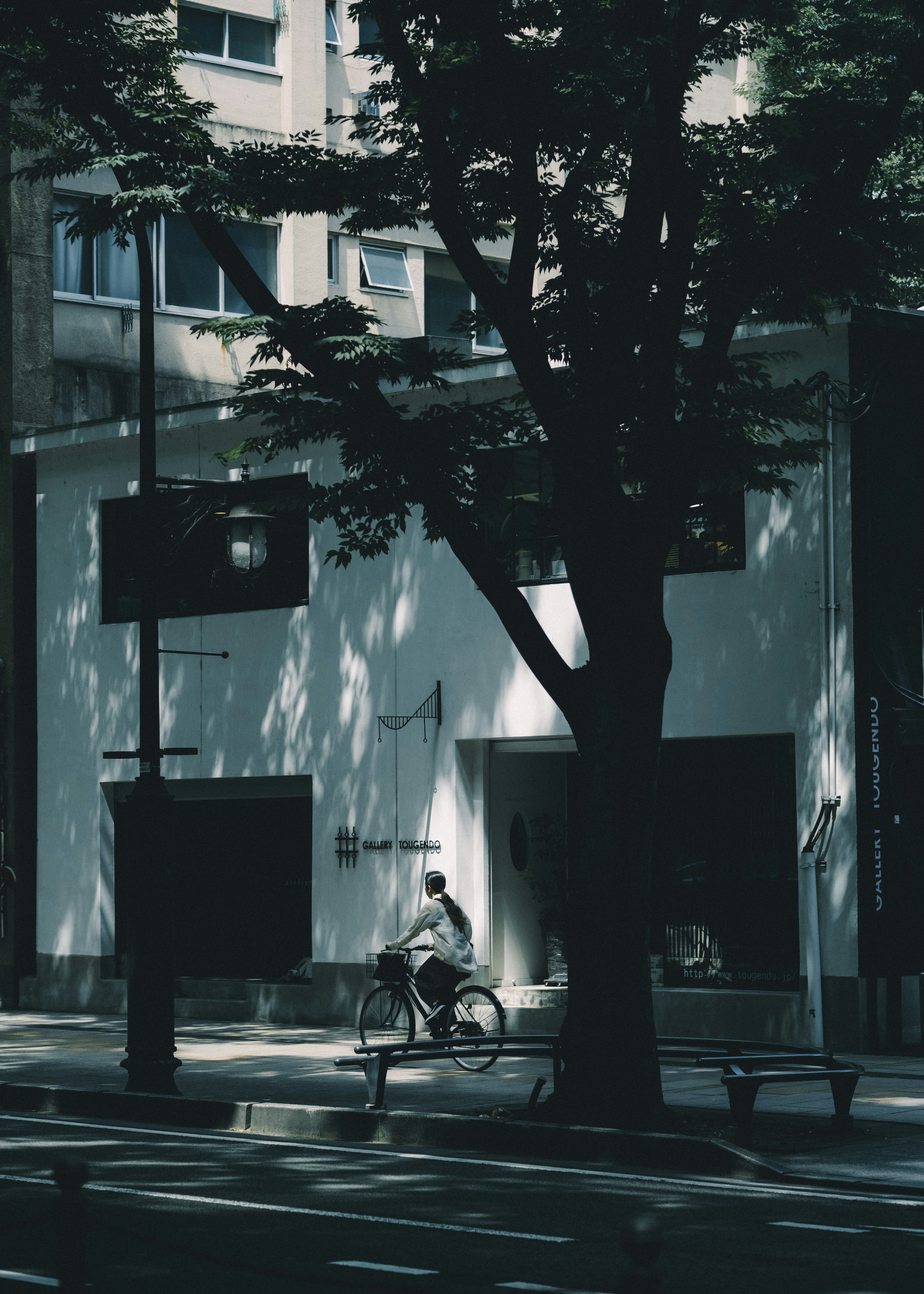 Un ciclista pasando junto a un edificio blanco con sombras de árboles