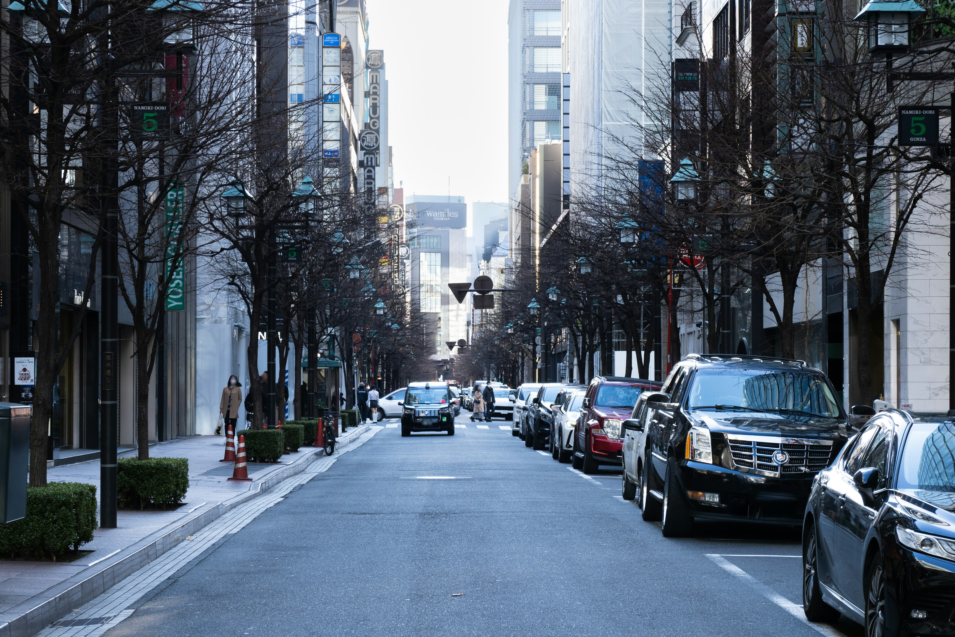 Urban street scene with tall buildings and parked cars