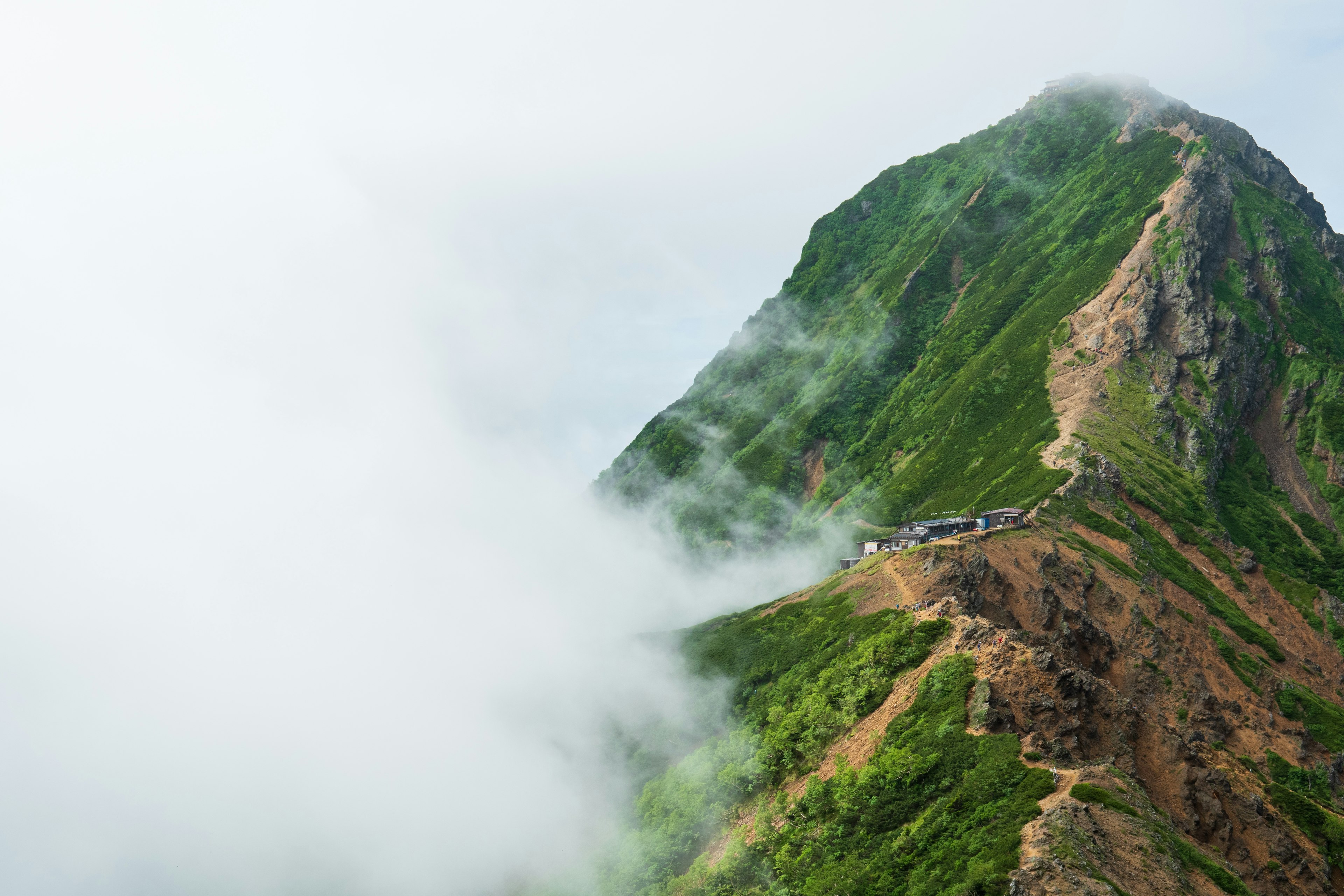 Green mountain slope shrouded in fog with a path