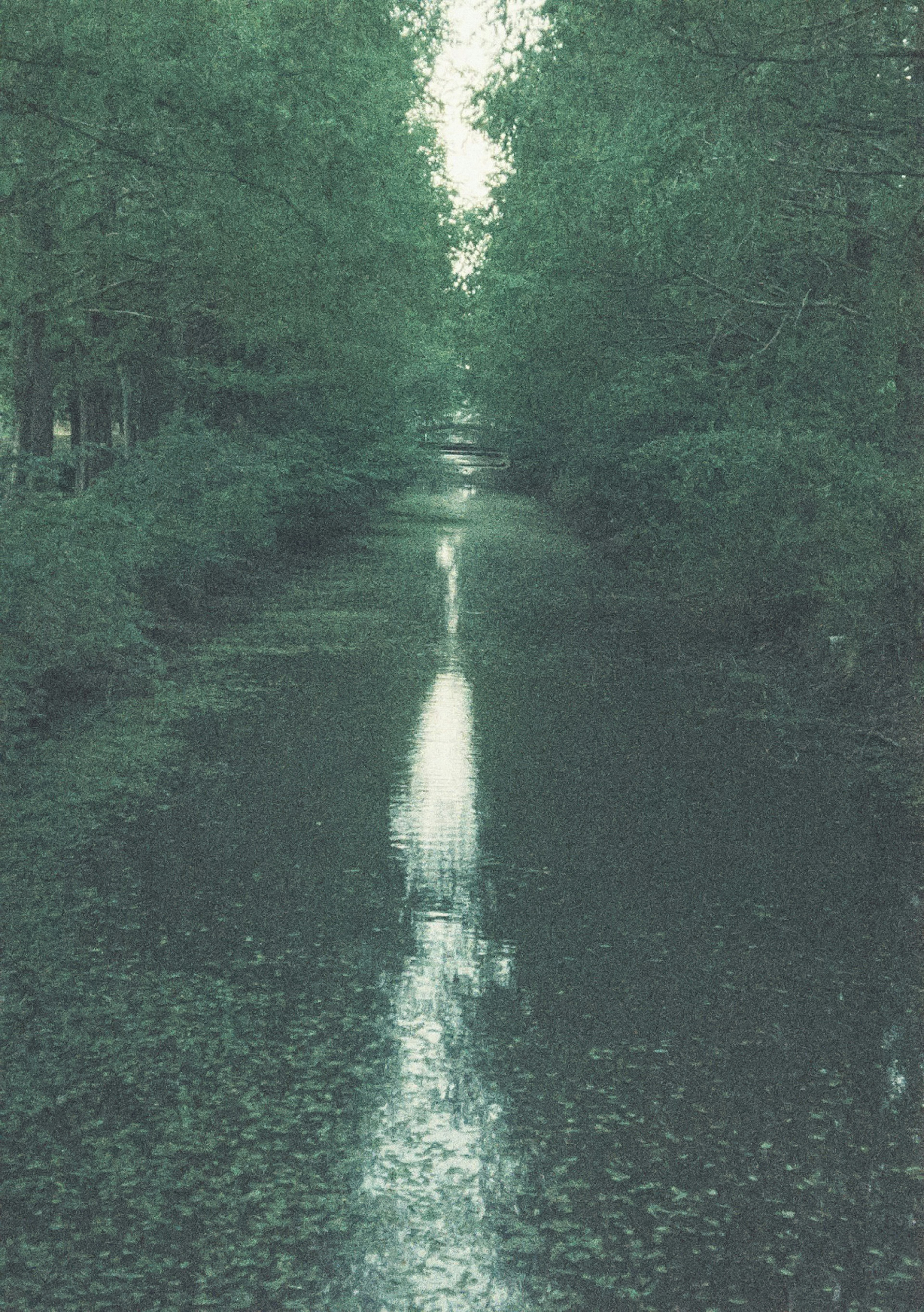 静かな緑の木々に囲まれた水路の風景