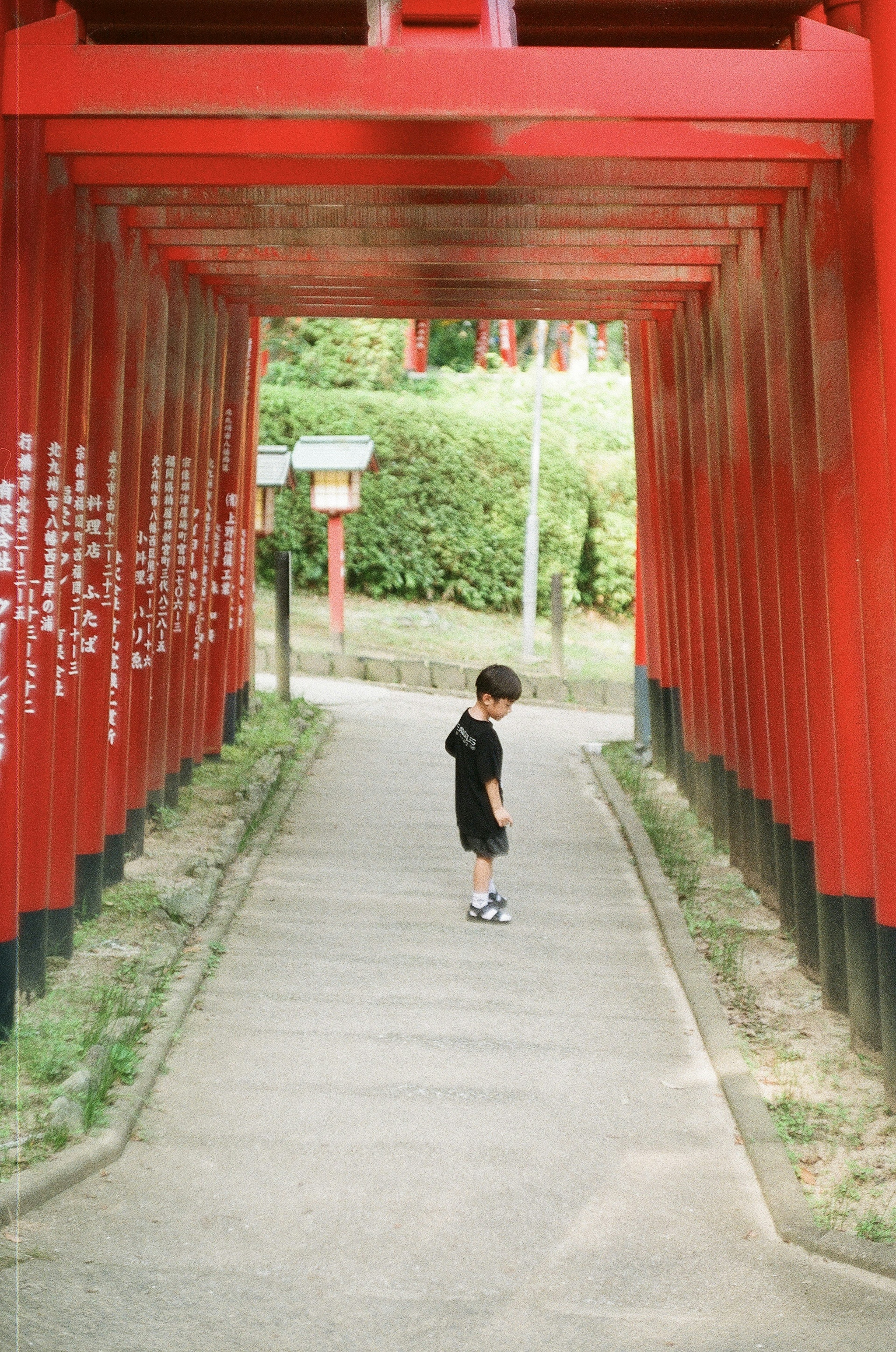 Child walking through a red torii gate tunnel