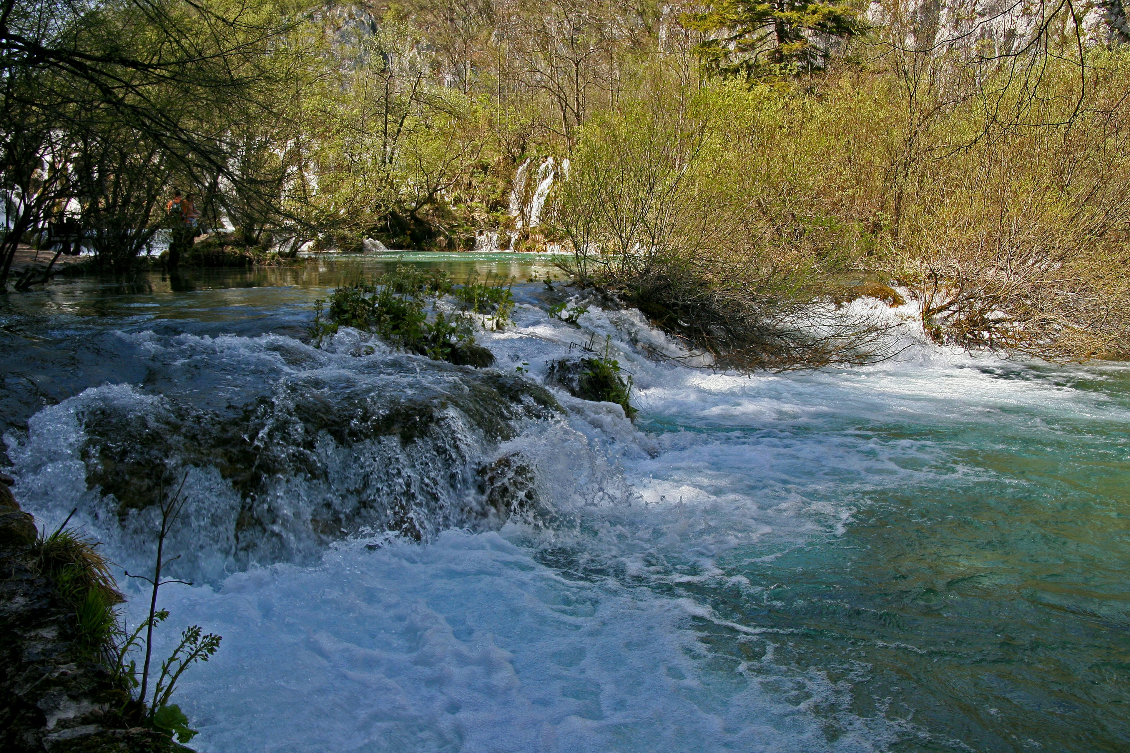 Rivière à courant rapide avec des environs verdoyants