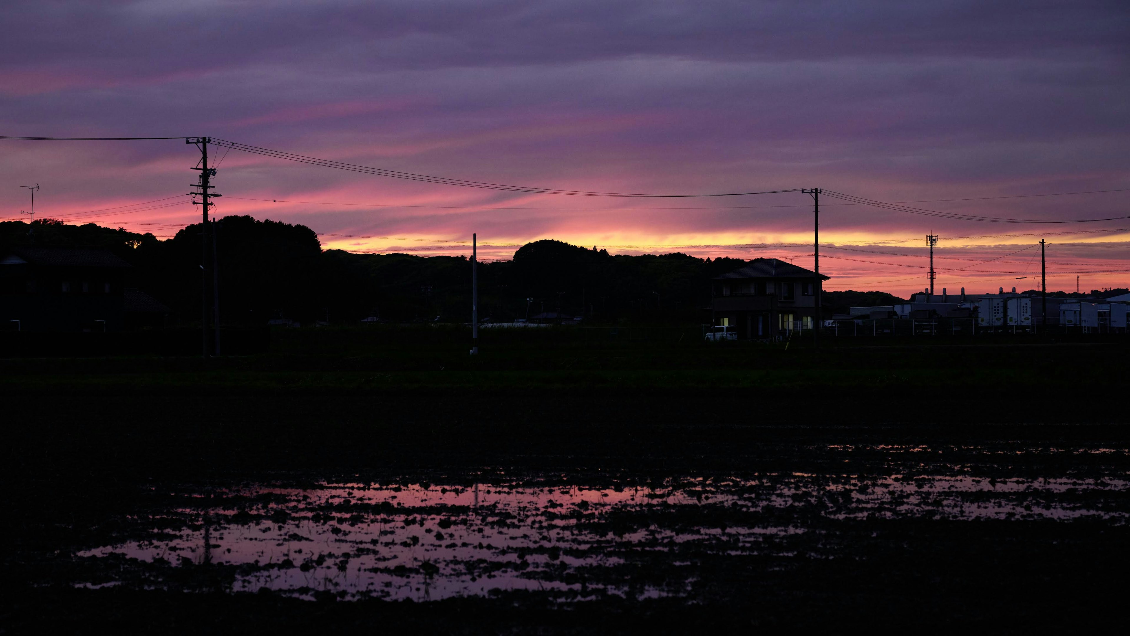 Cielo al tramonto su un tranquillo campo di riso con silhouette di linee elettriche e colline