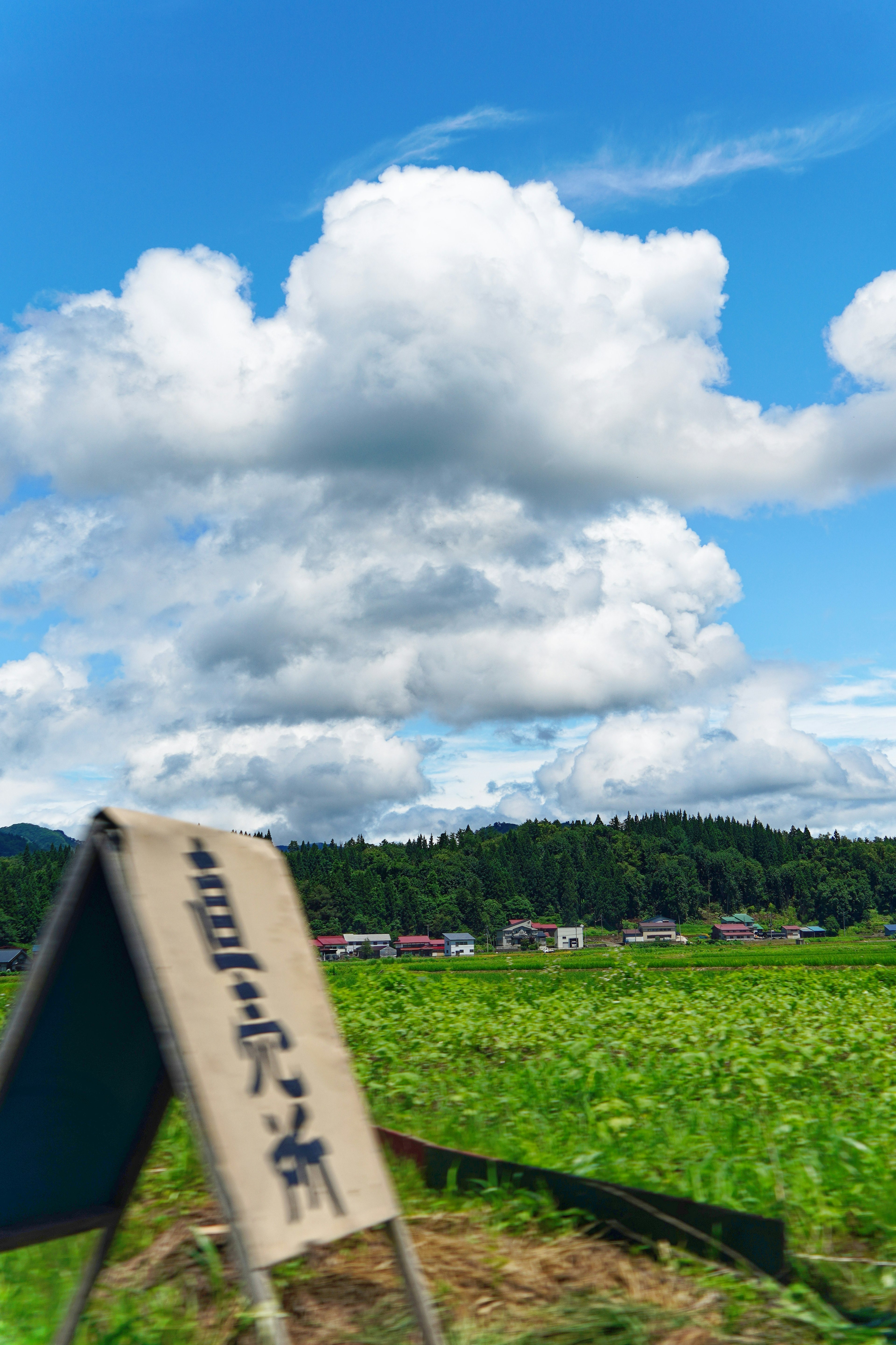 青空と白い雲が広がる田園風景の中に立つ看板と緑の作物