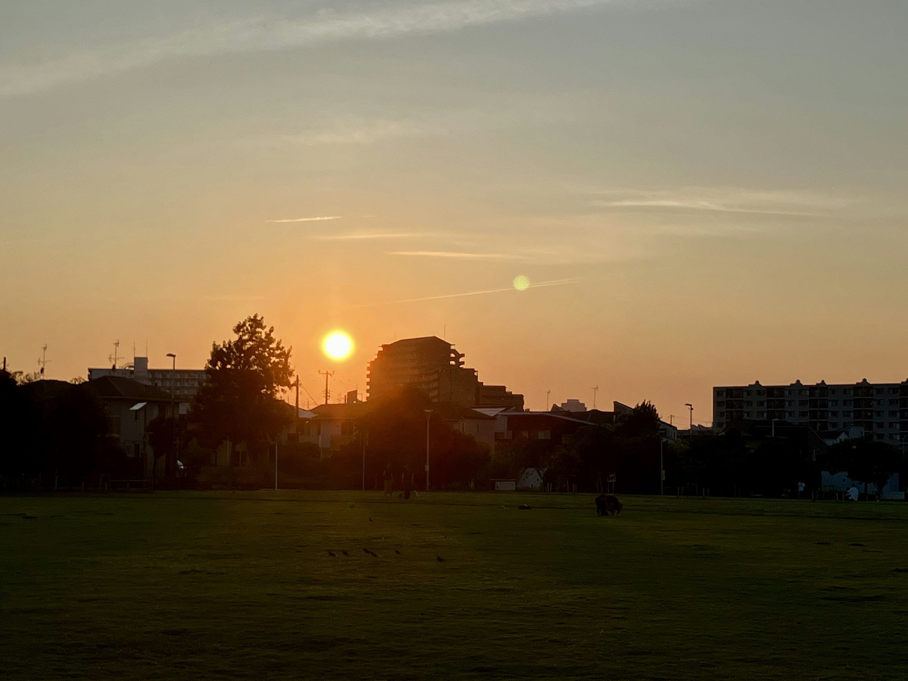 Vista del tramonto con silhouette di edifici e alberi