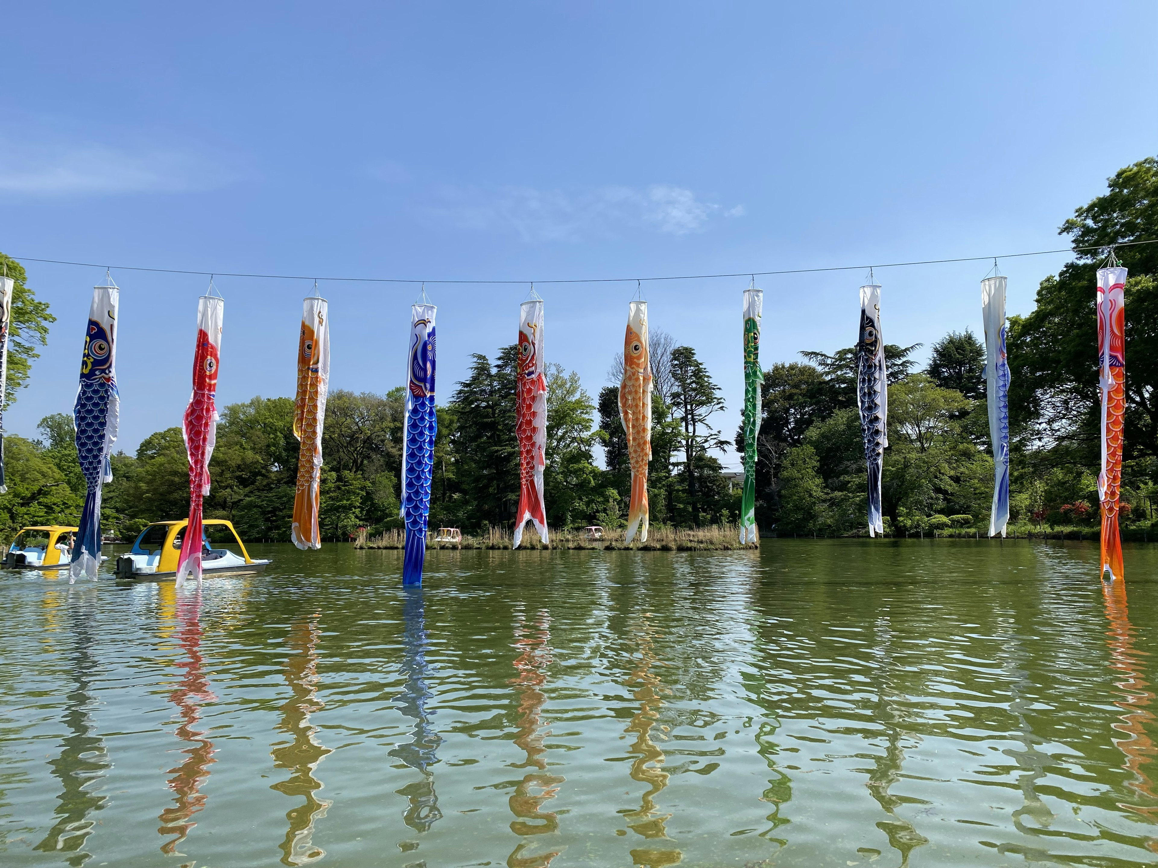 Bendera koi berwarna-warni tergantung di atas kolam tenang di bawah langit biru