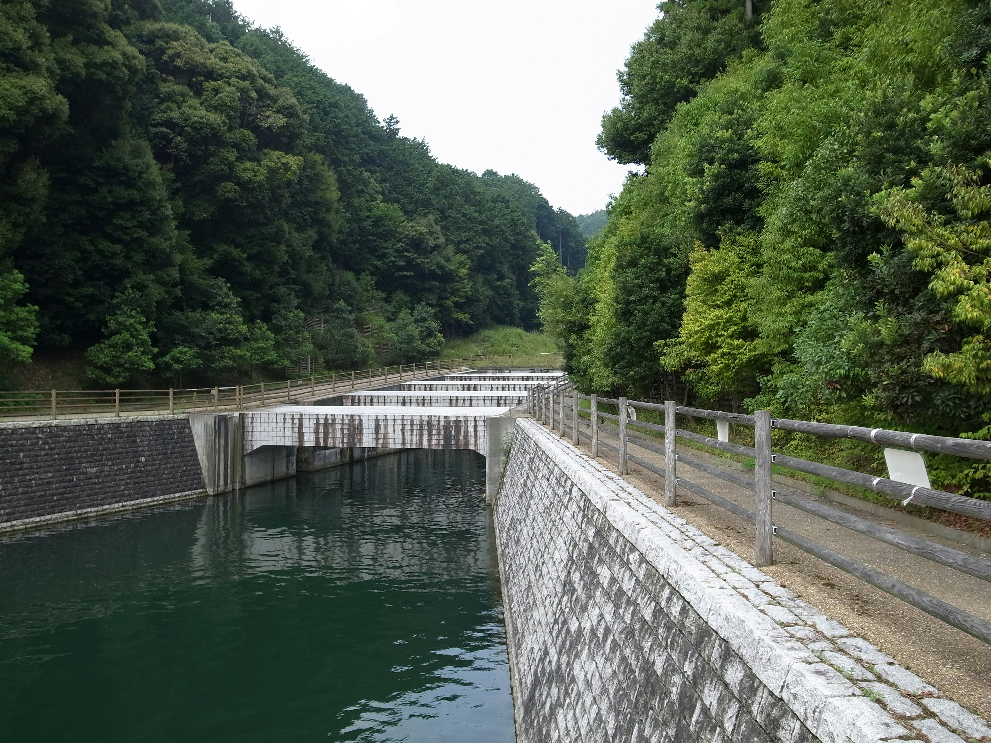 Vue pittoresque d'un barrage tranquille entouré de verdure luxuriante