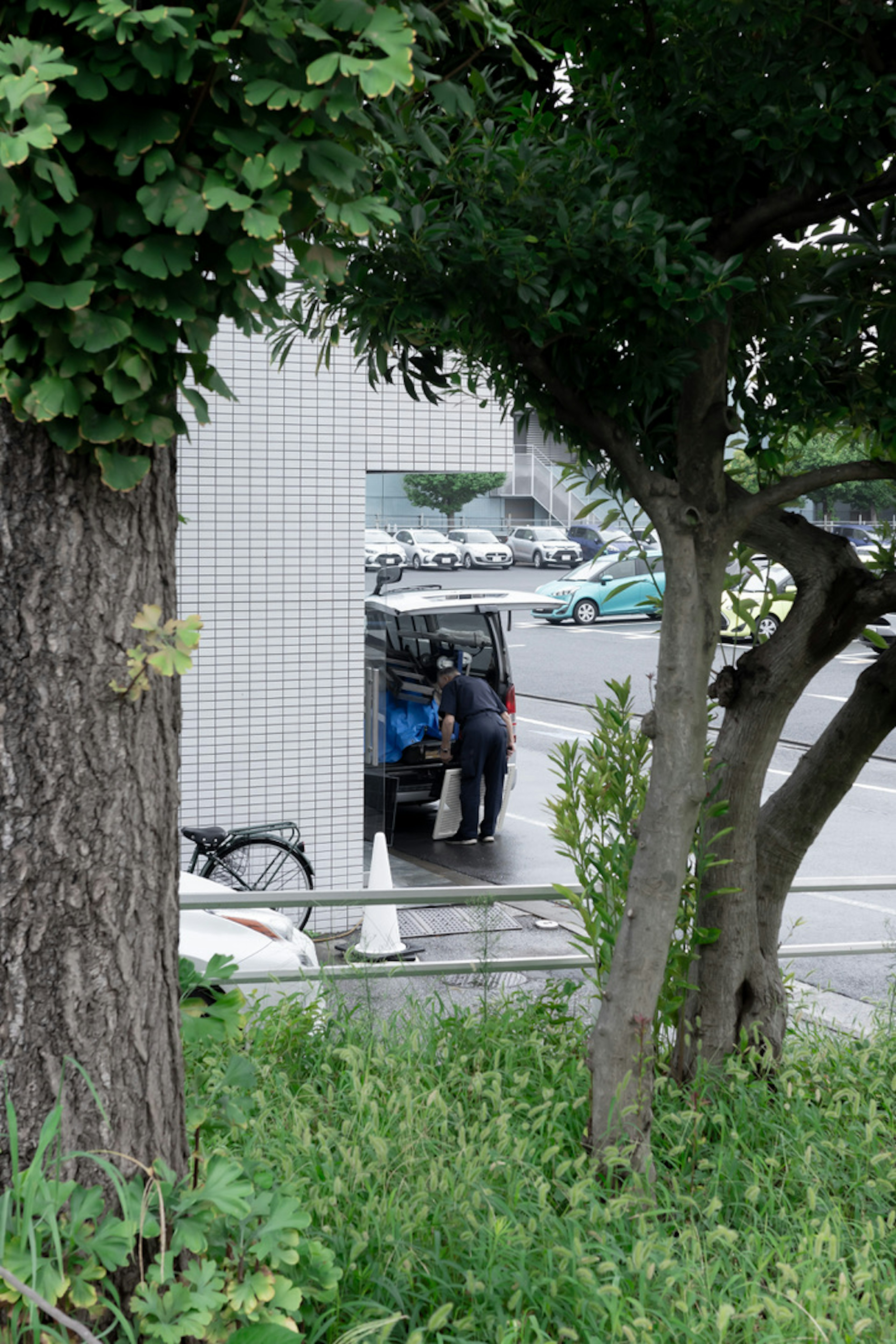 A person unloading items near a vehicle with green trees in the background