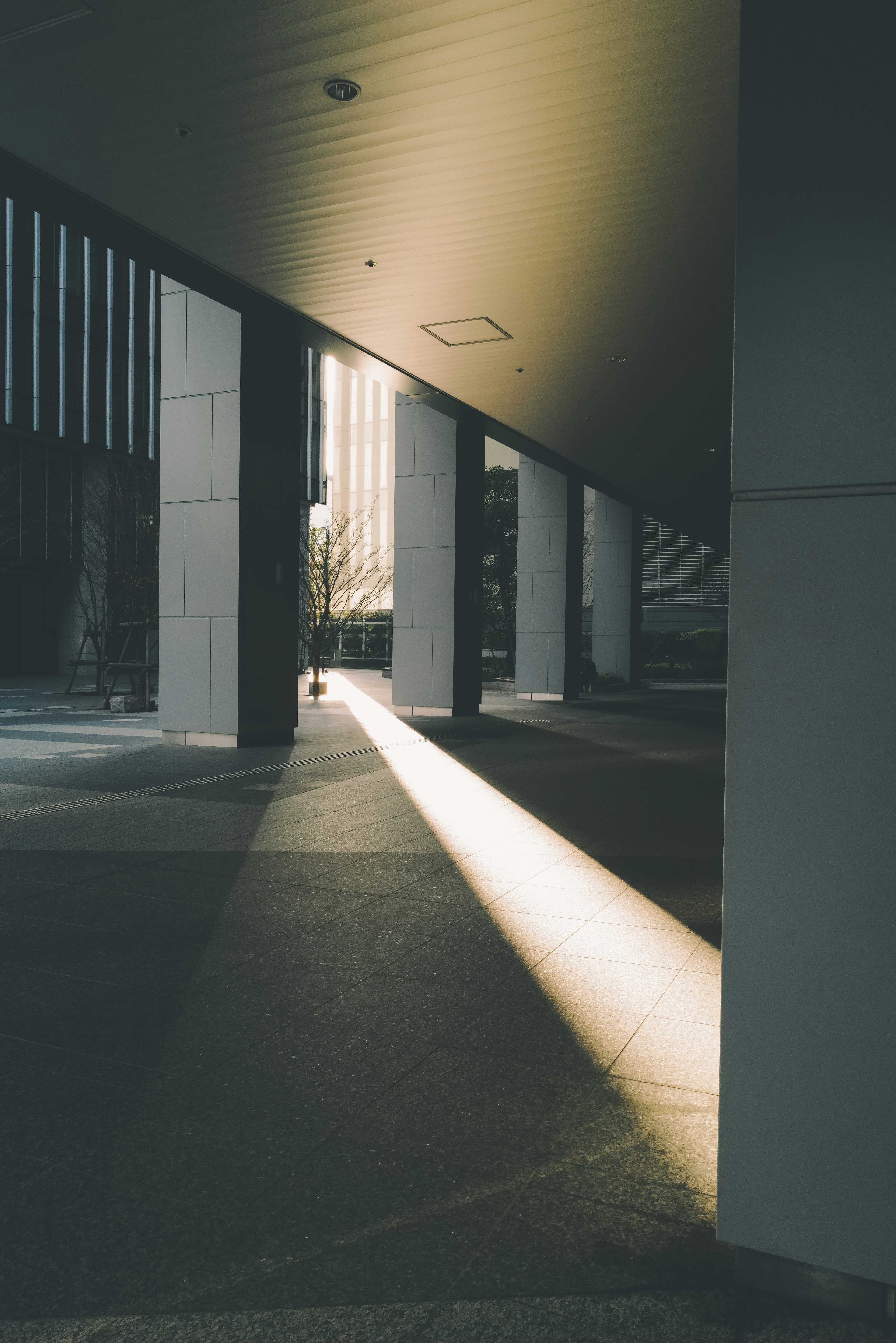 A beam of light shining through the shadows of tall buildings