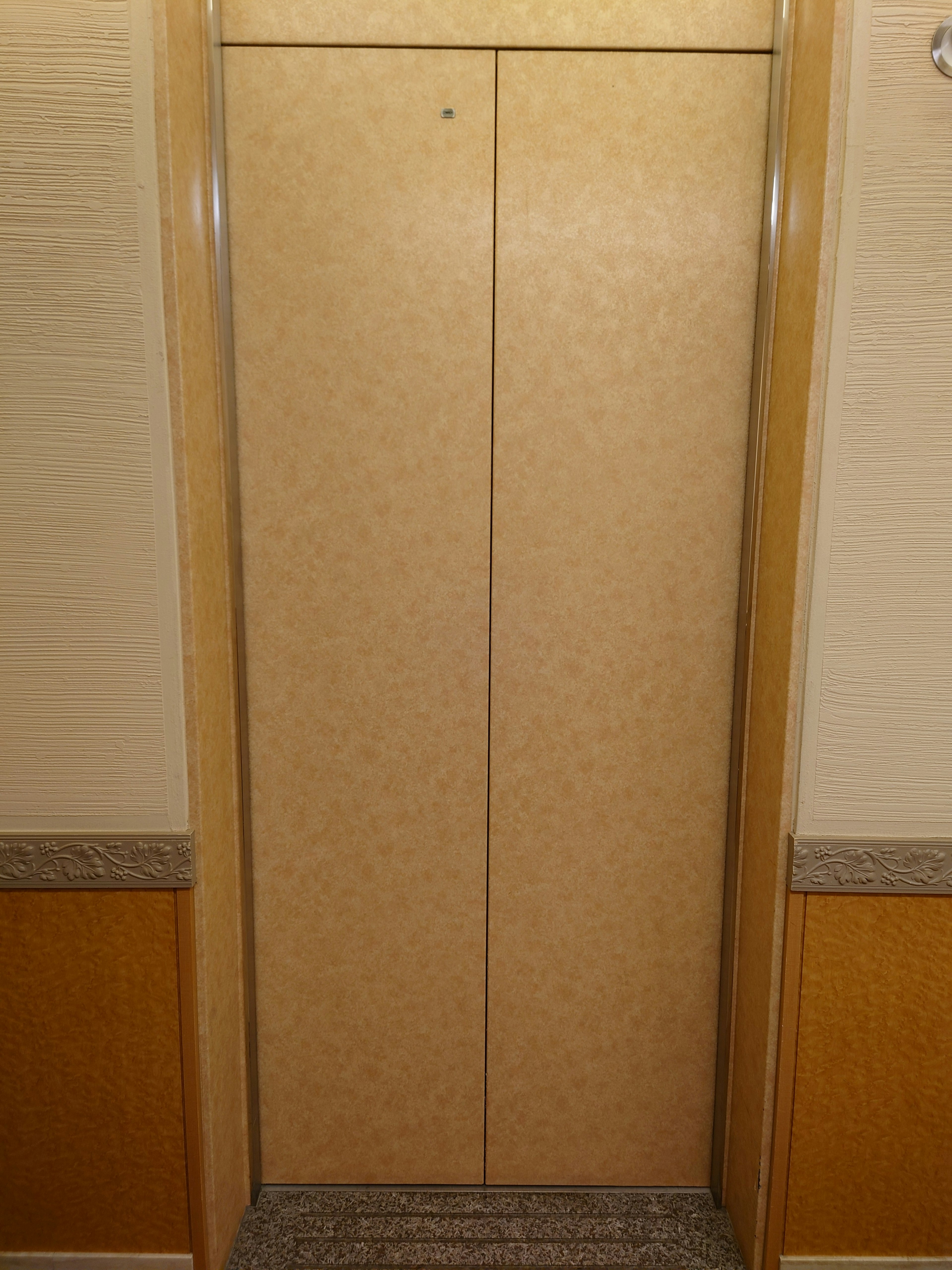 Closed elevator doors with a simple and modern design