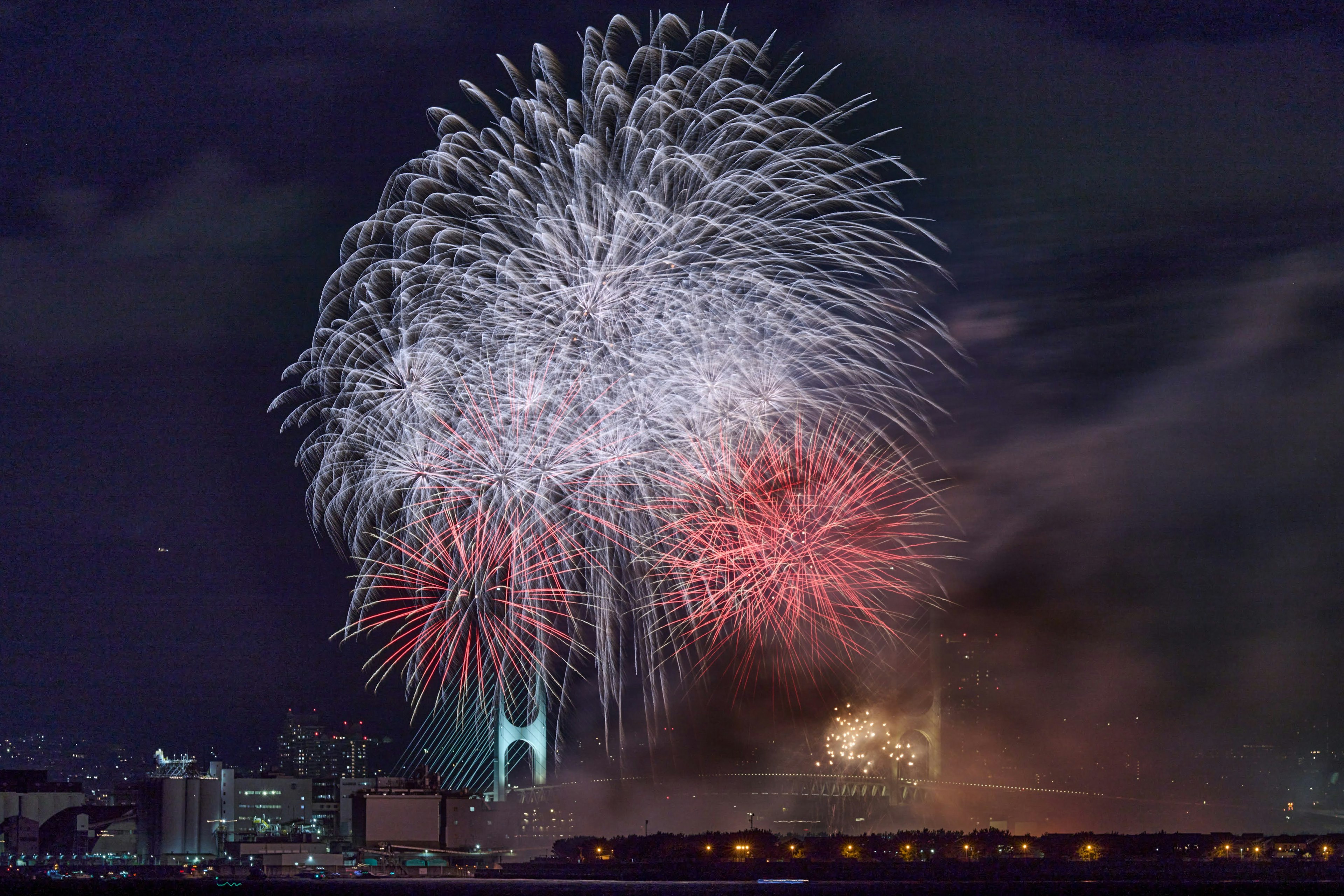 Fuochi d'artificio colorati che esplodono nel cielo notturno