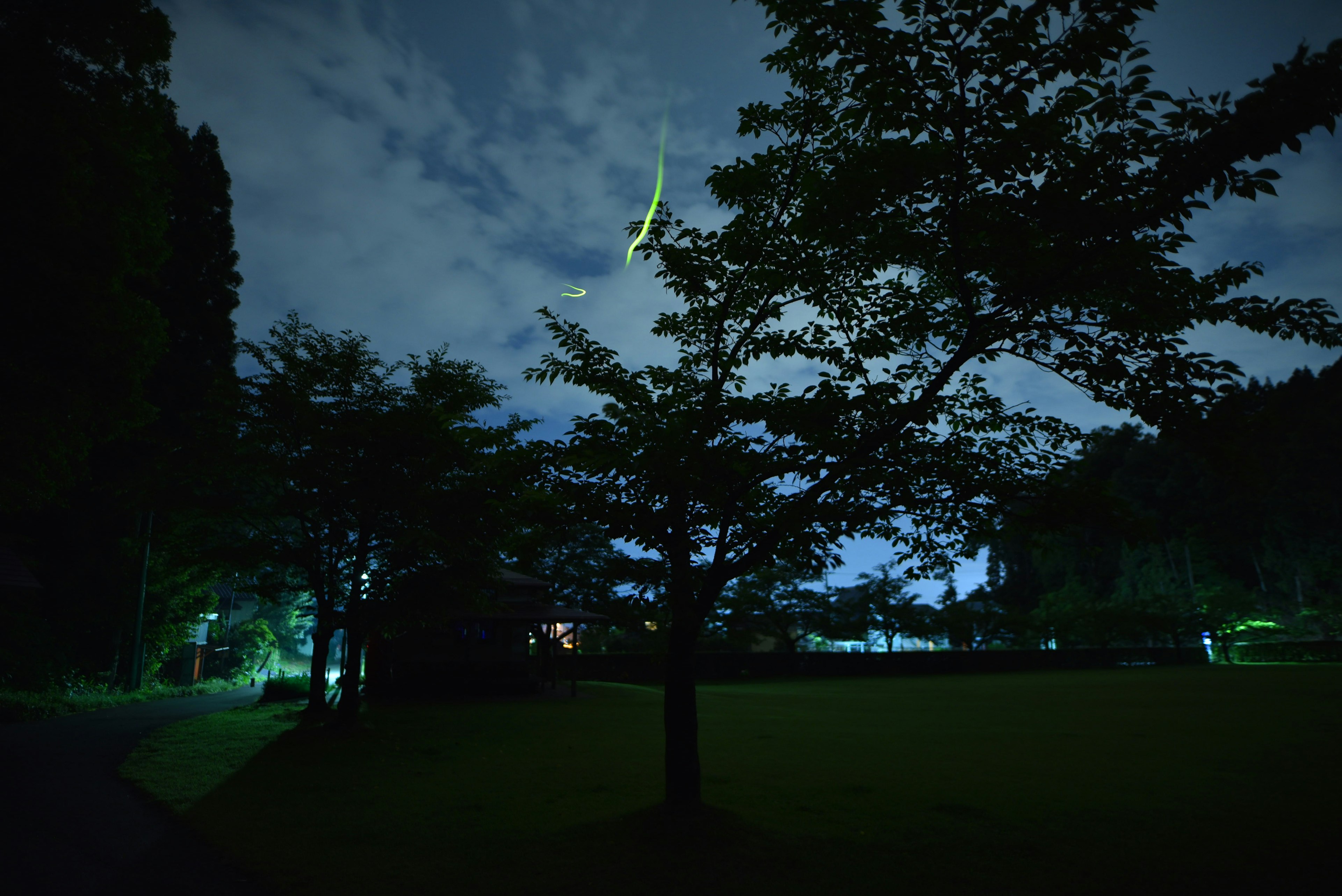 Escena nocturna de un parque con nubes y luces verdes dispersas