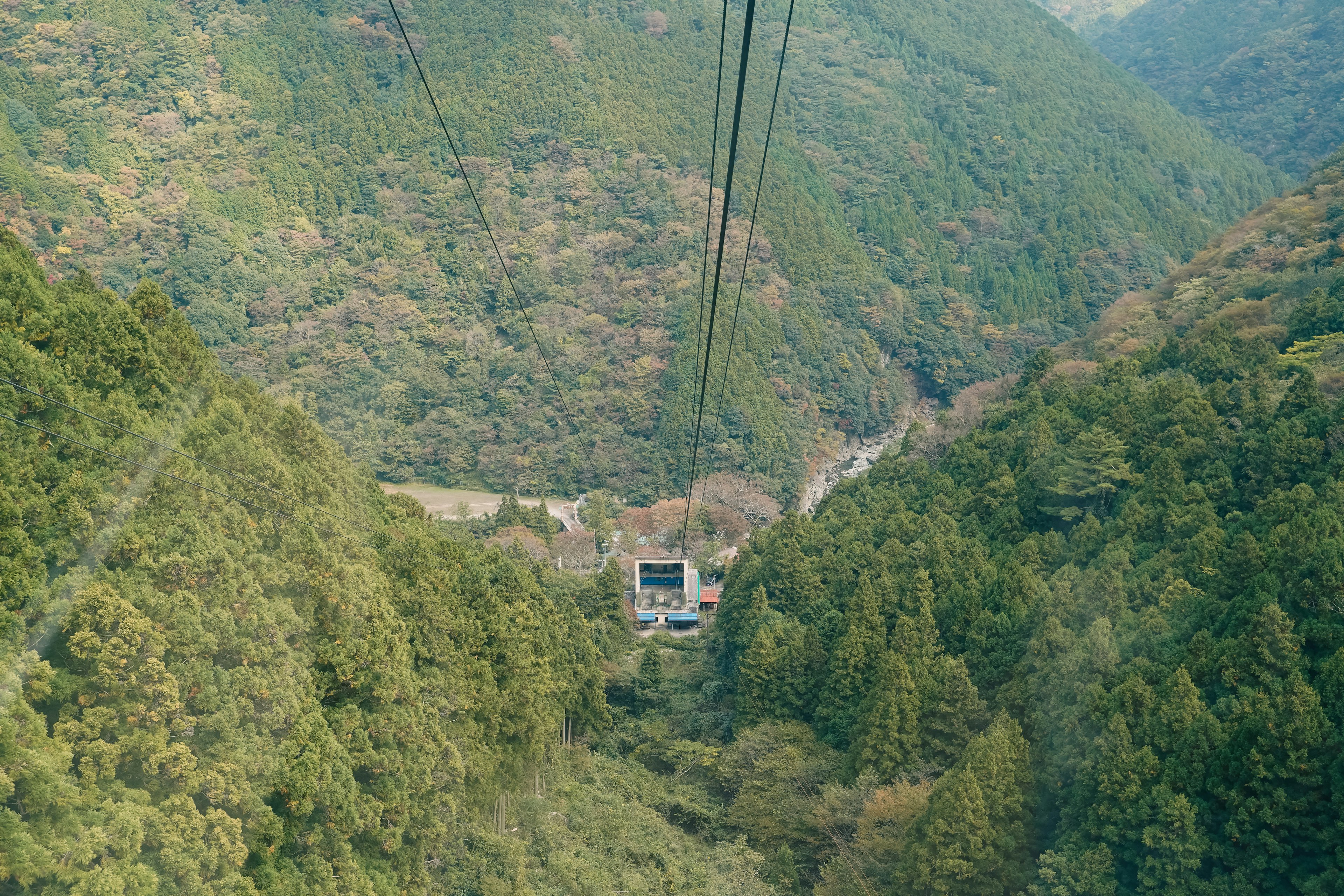 Blick von einer Seilbahn auf ein Bergtal üppige Vegetation und einen gewundenen Fluss