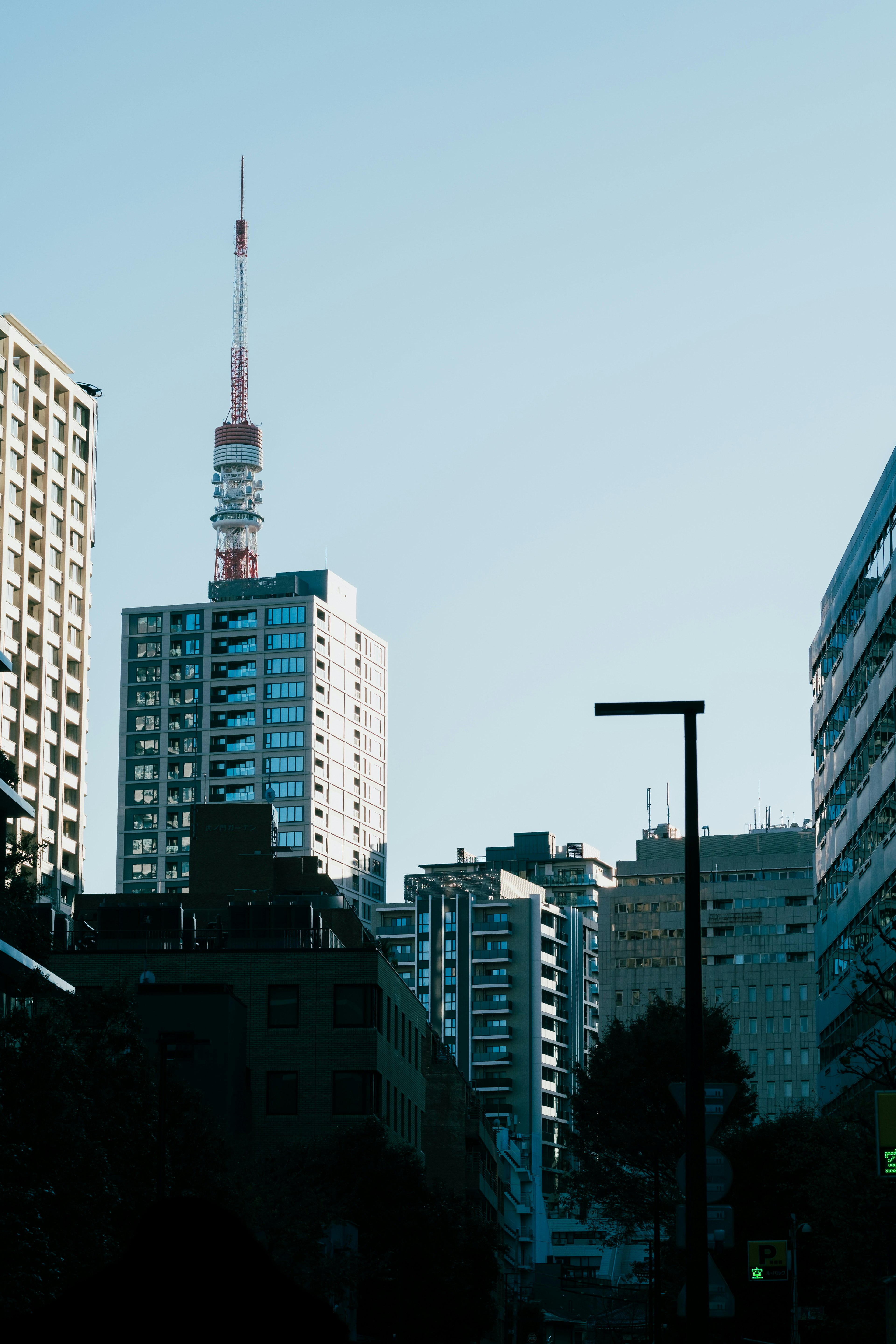 東京タワーが見える都市の風景 高層ビルと青空が広がる