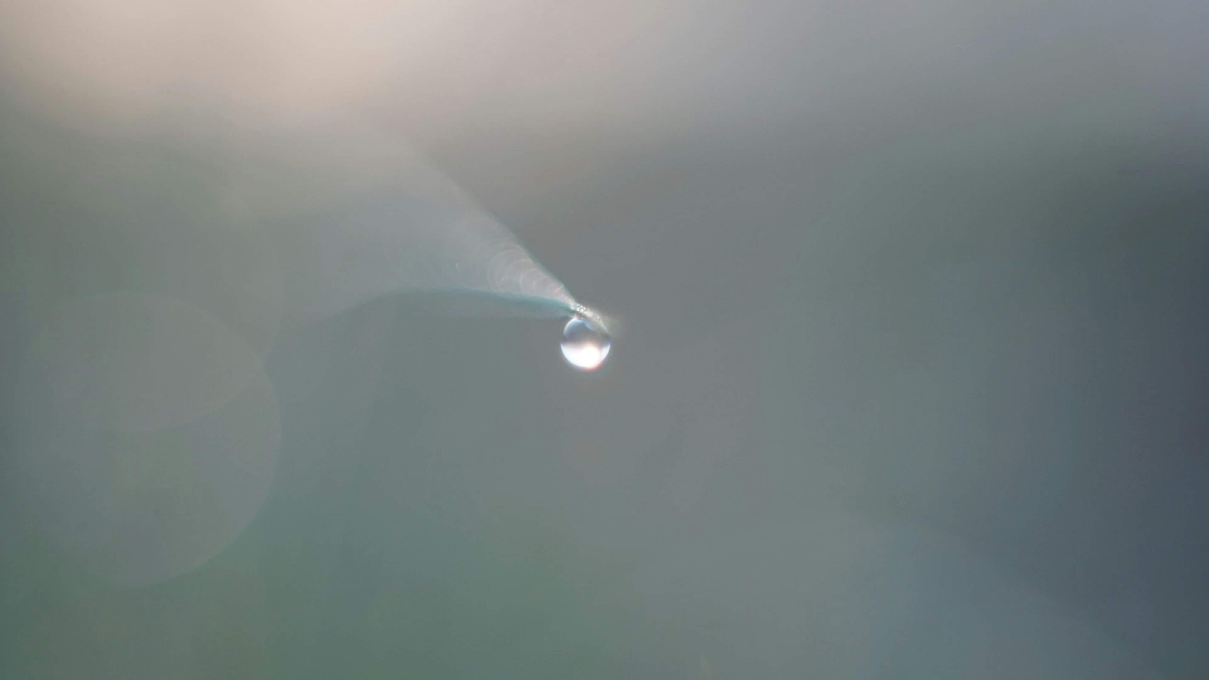 photo-pBV32hlwxBz7wkgszJ1o-image