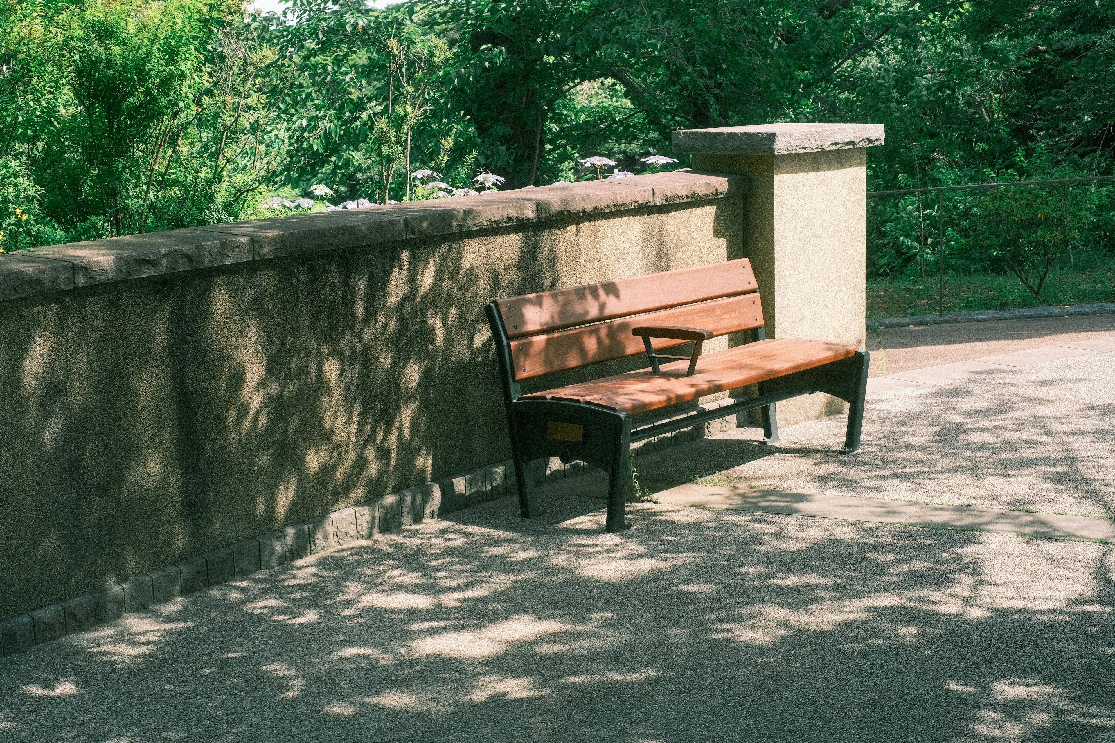 Park bench with shadows and greenery