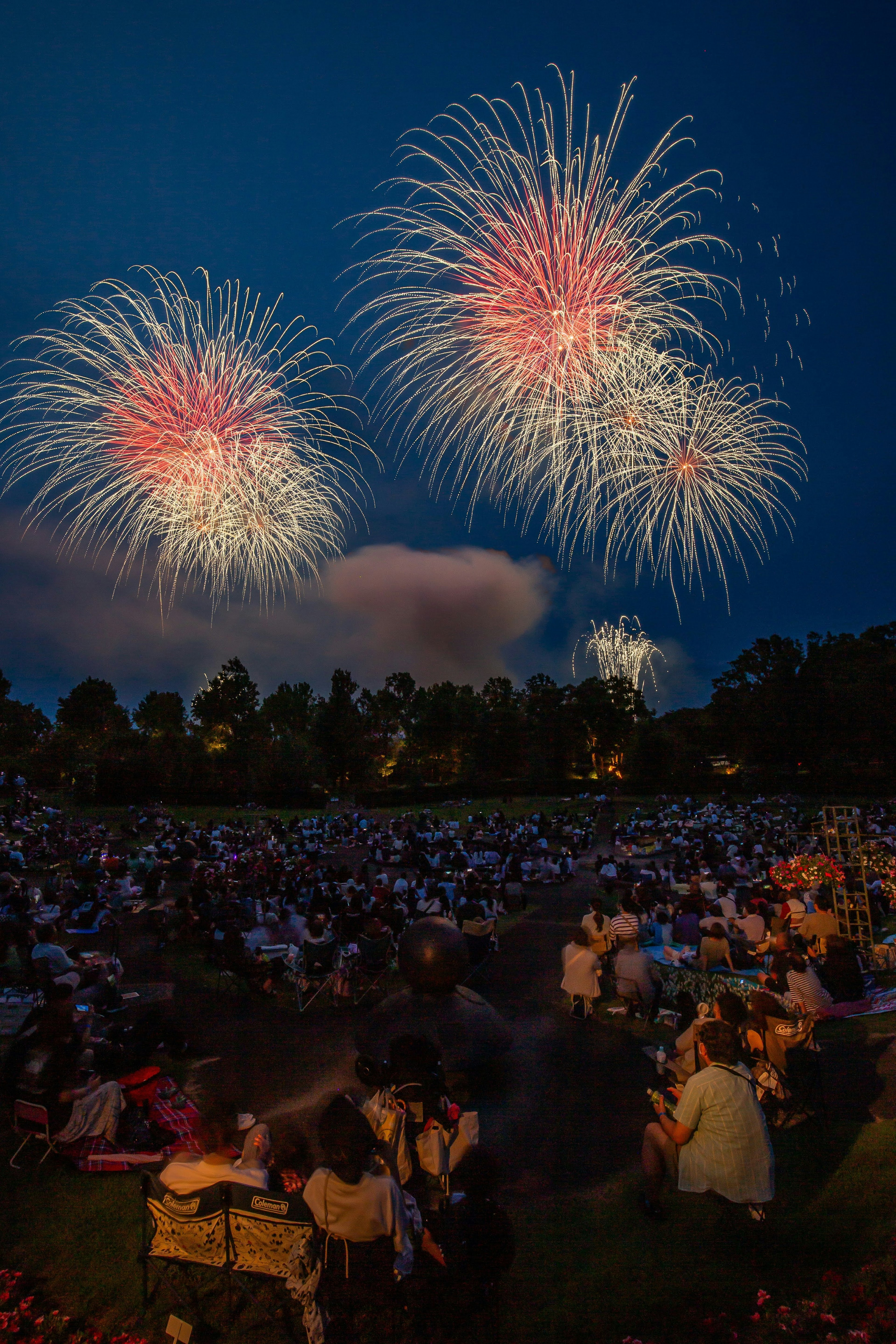 Fuegos artificiales estallando en el cielo nocturno sobre una multitud reunida en un parque