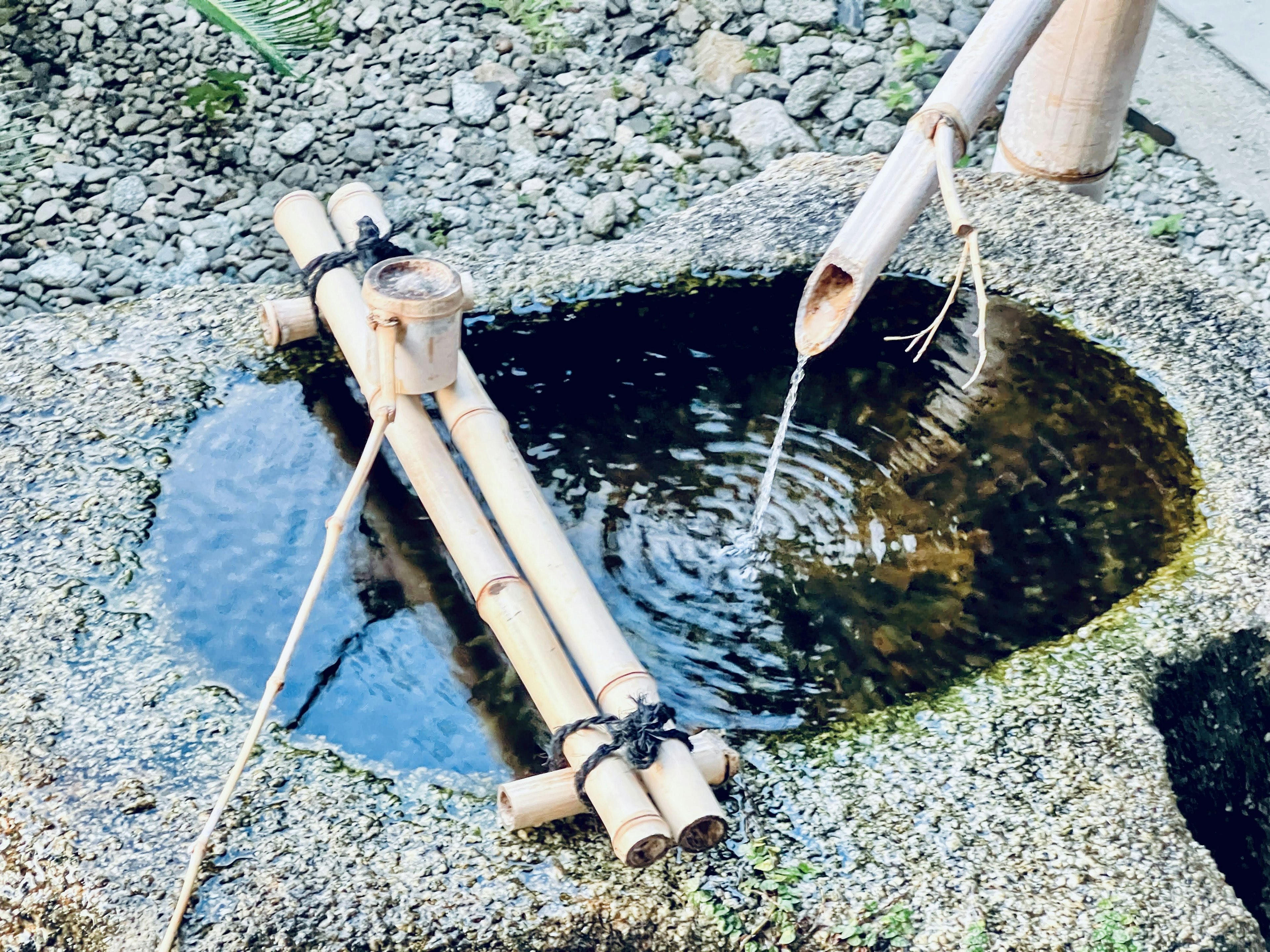 竹制水景与小池塘和流动水