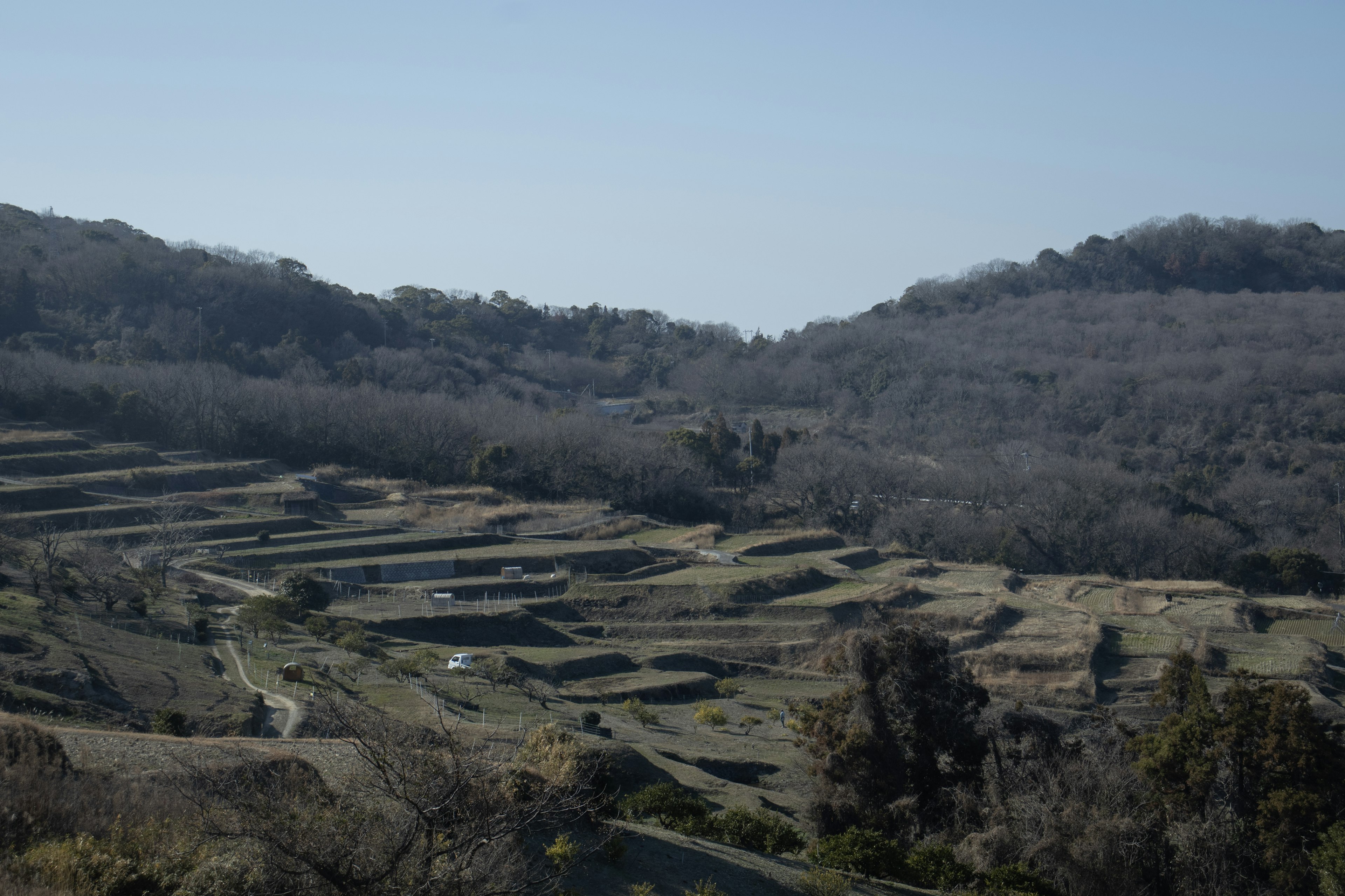 広がる段々畑と冬の木々の風景