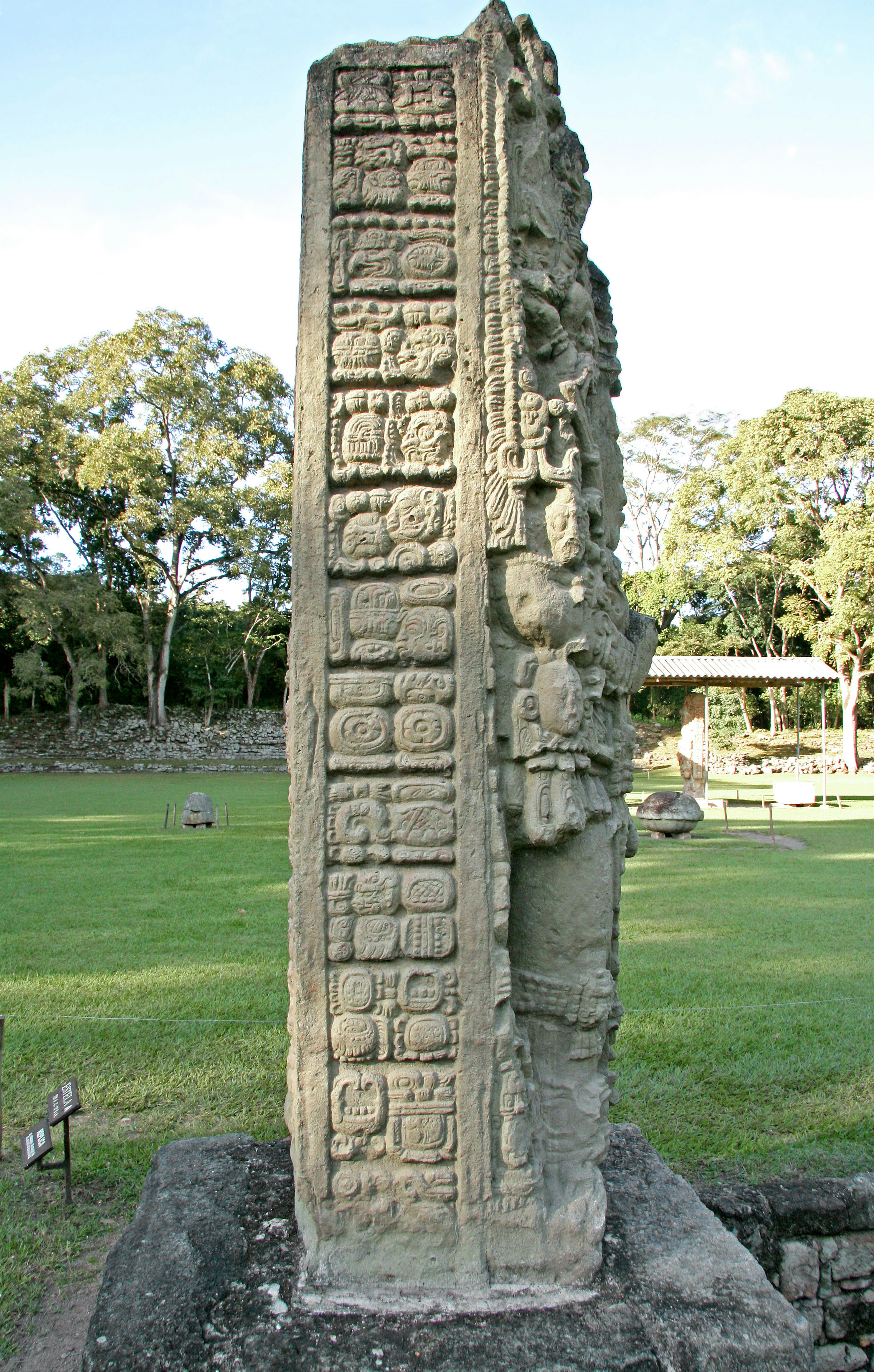 Monumen batu kuno Maya dengan ukiran rumit berdiri di area rumput hijau