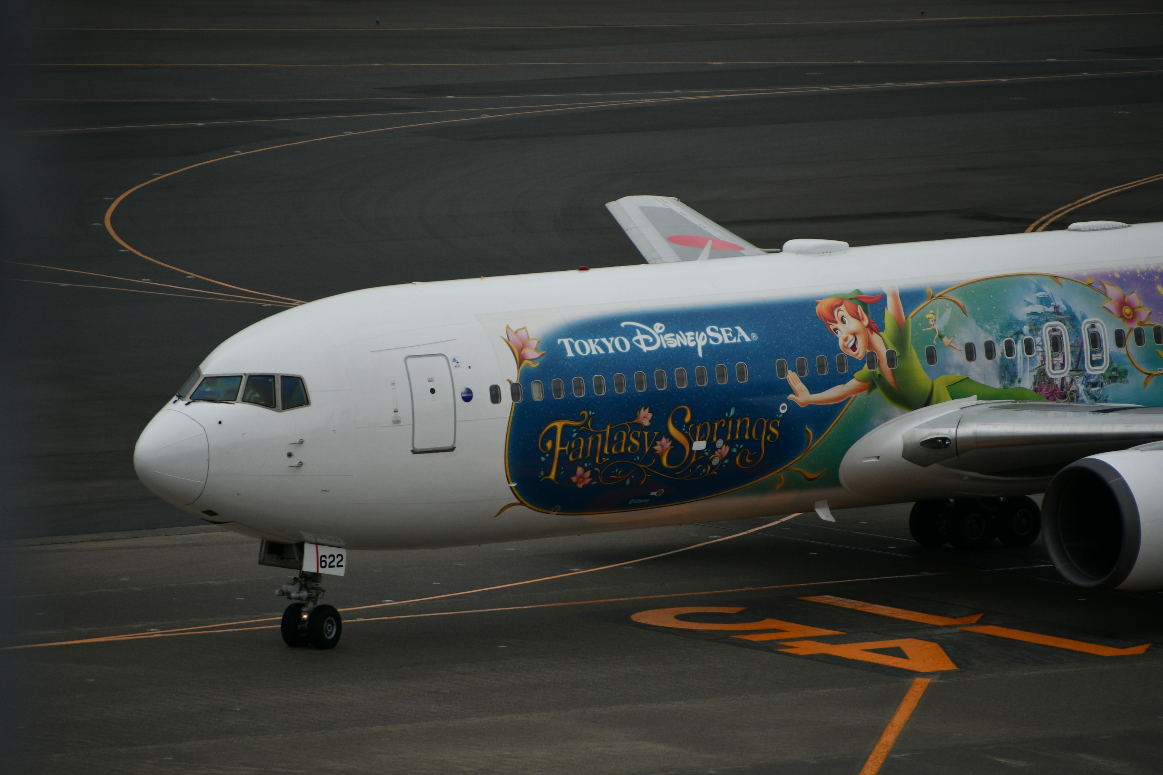 Flugzeug mit Disney-Prinzessinnen-Kunst auf der Seite