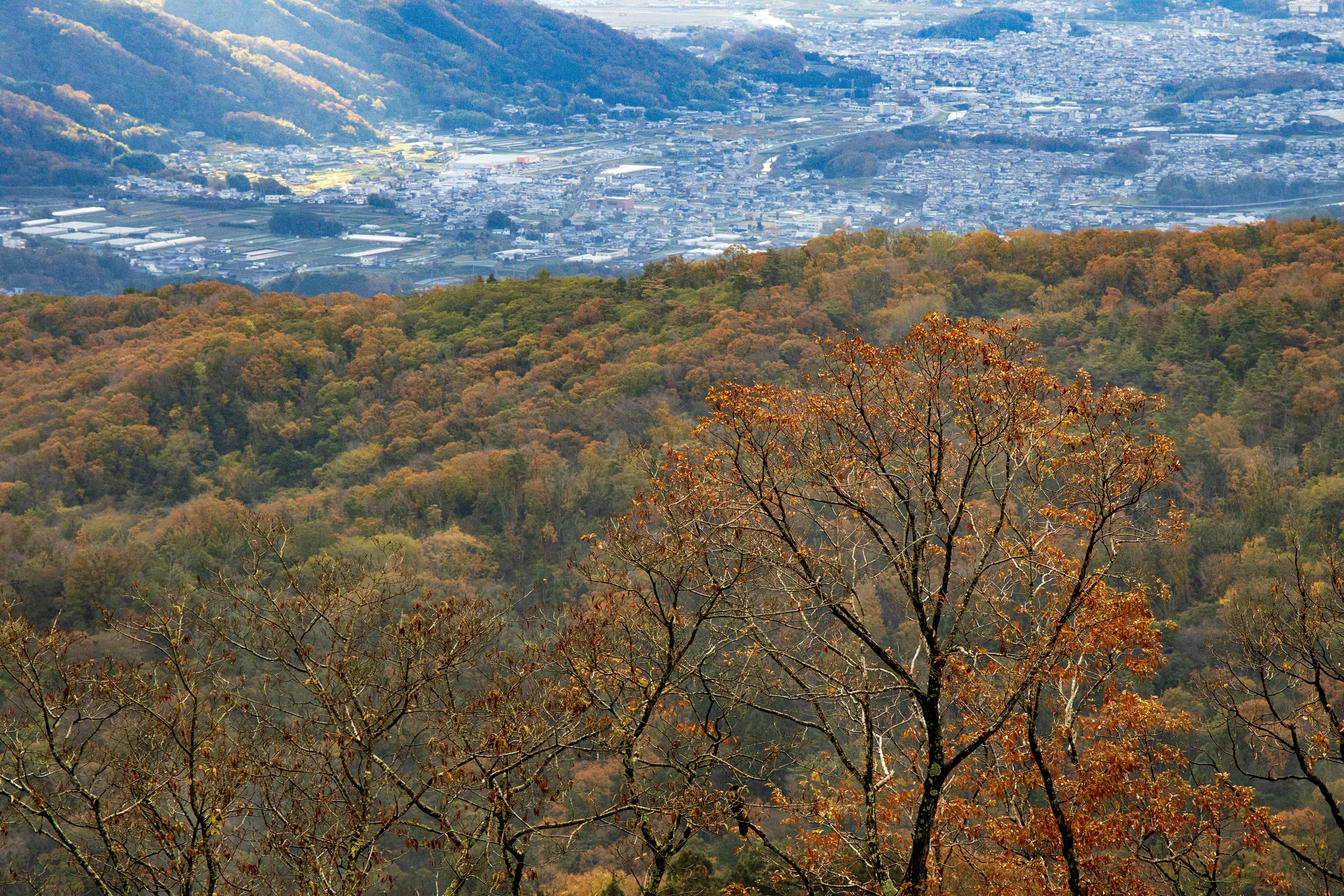 Foliage autunnale che copre le montagne con vista su una città lontana