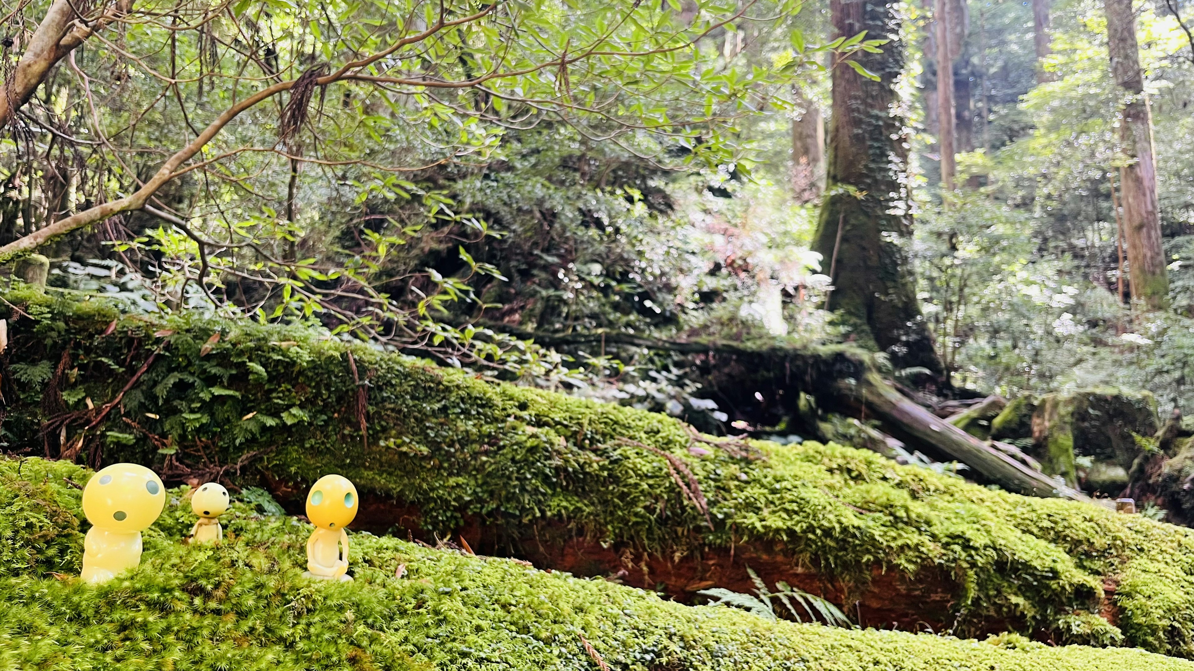 Yellow characters arranged on mossy ground in a lush forest