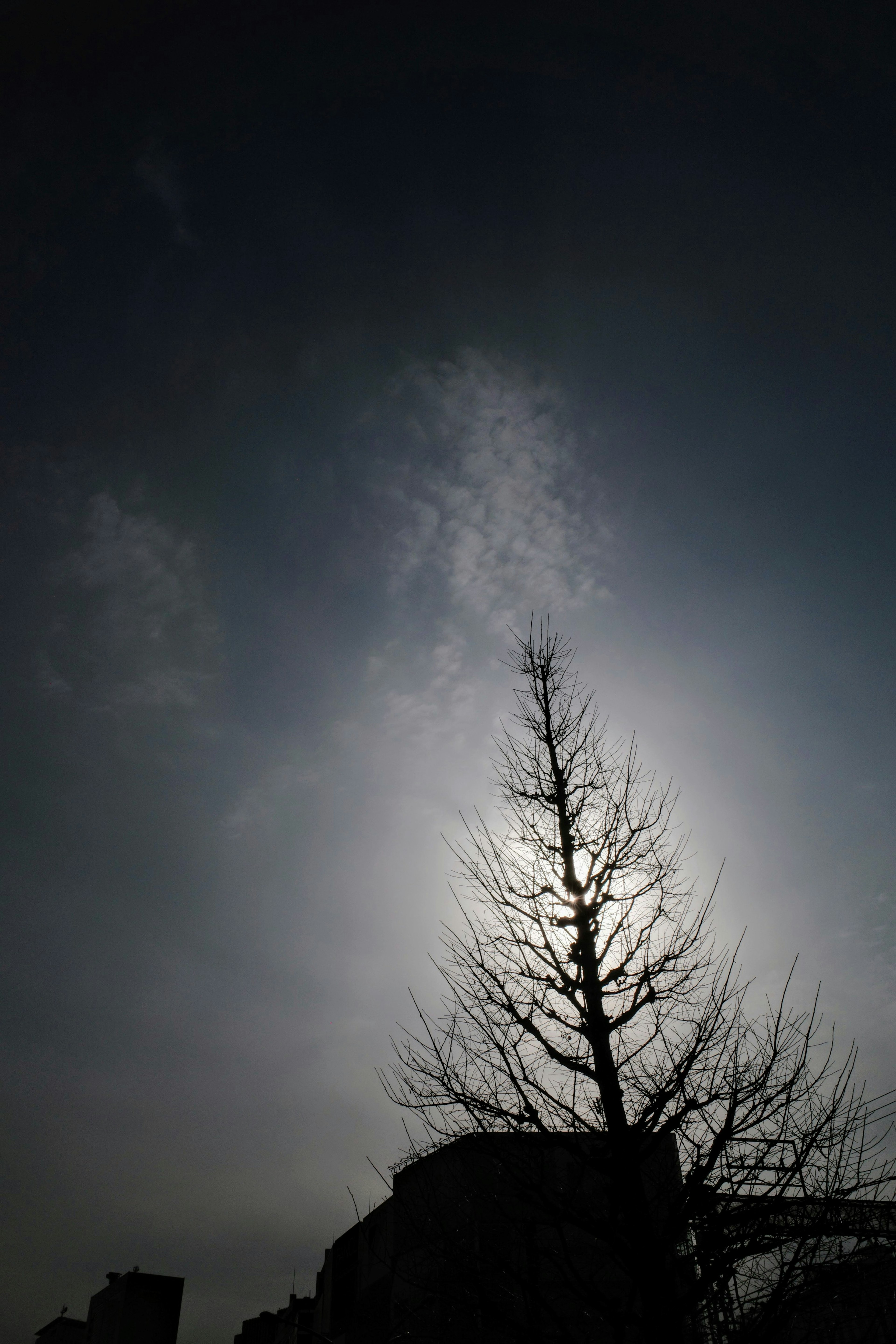 Silhouette d'un arbre et d'un bâtiment contre un ciel nuageux