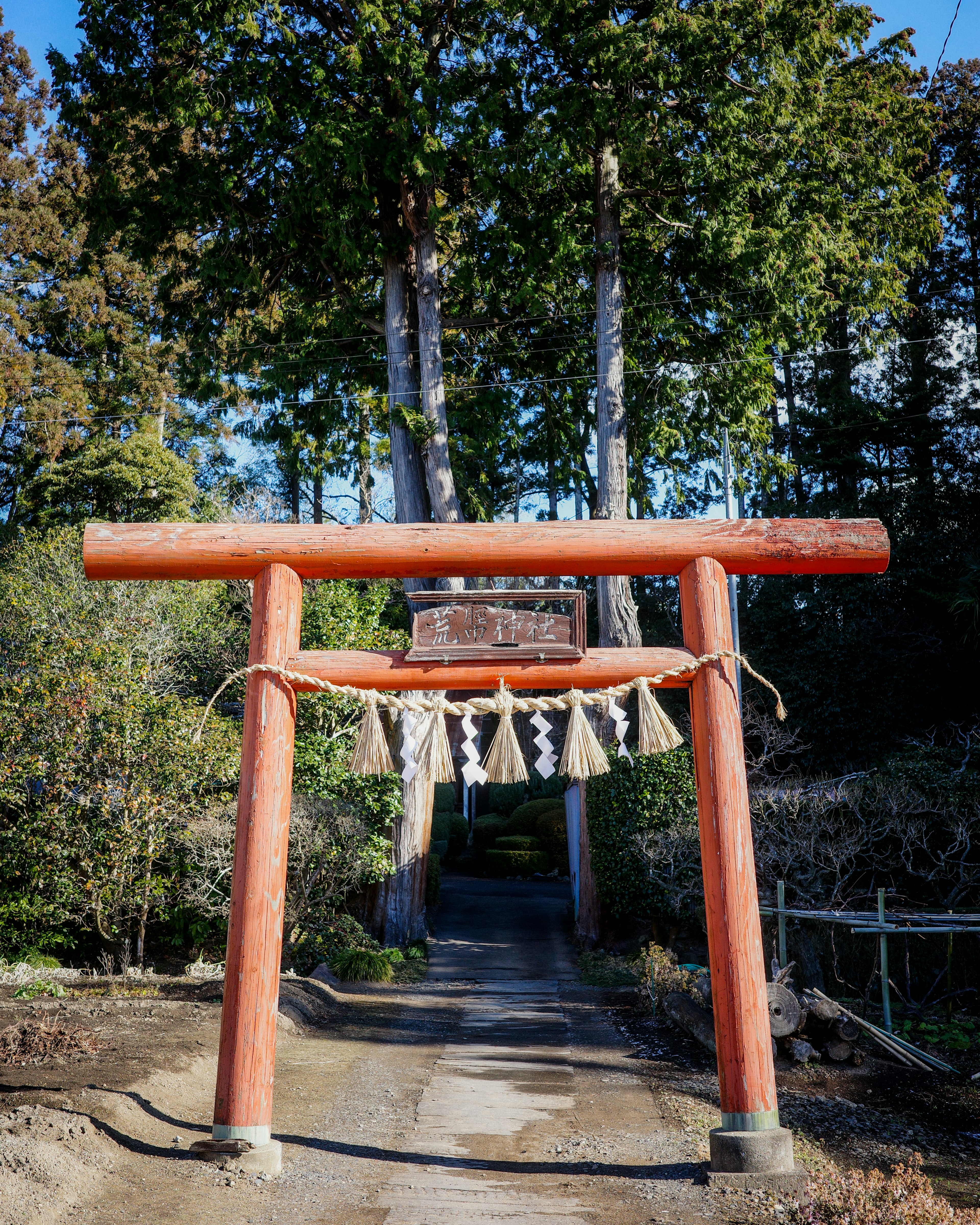 赤い鳥居と緑の木々がある静かな道