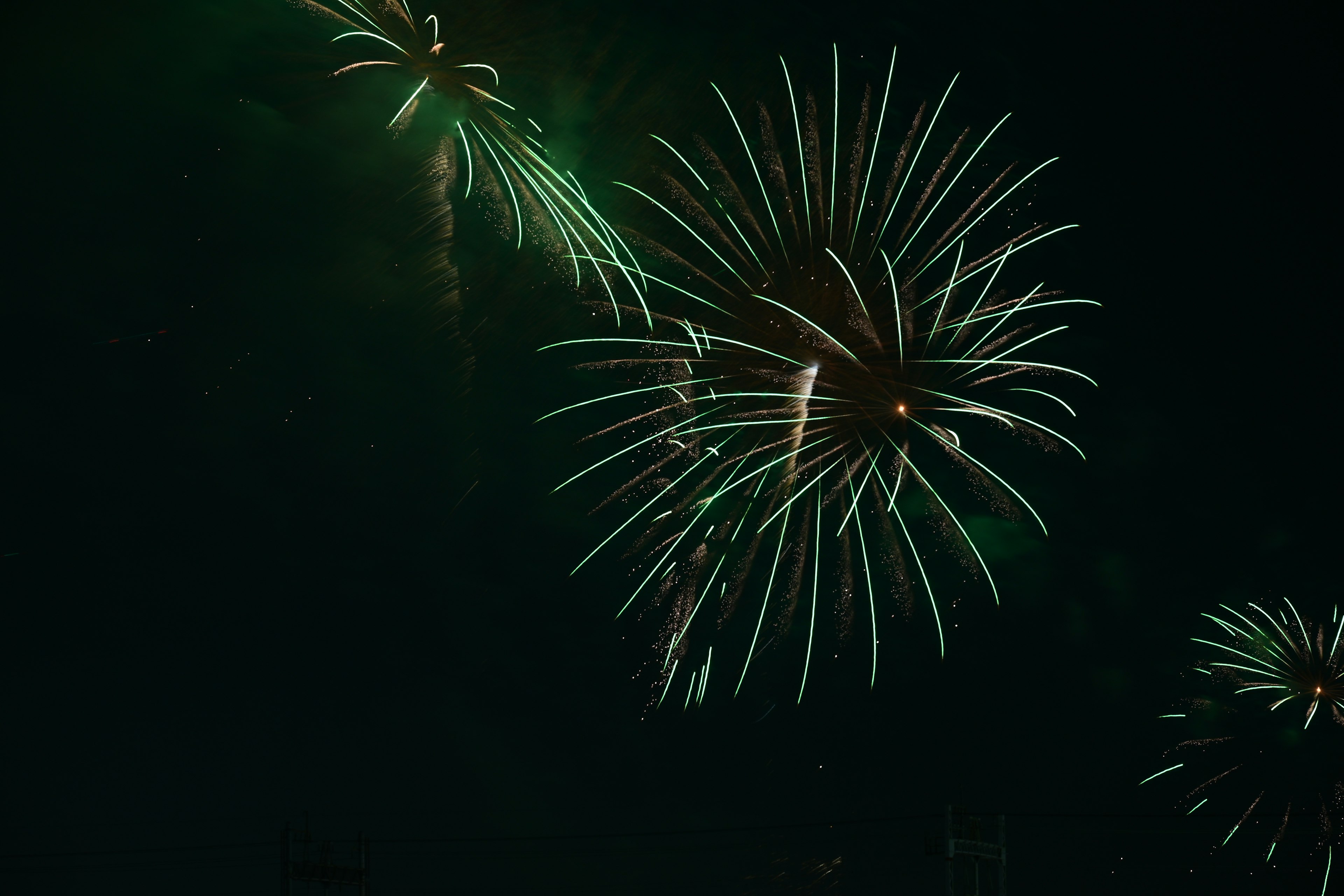 Green fireworks bursting in the dark night sky