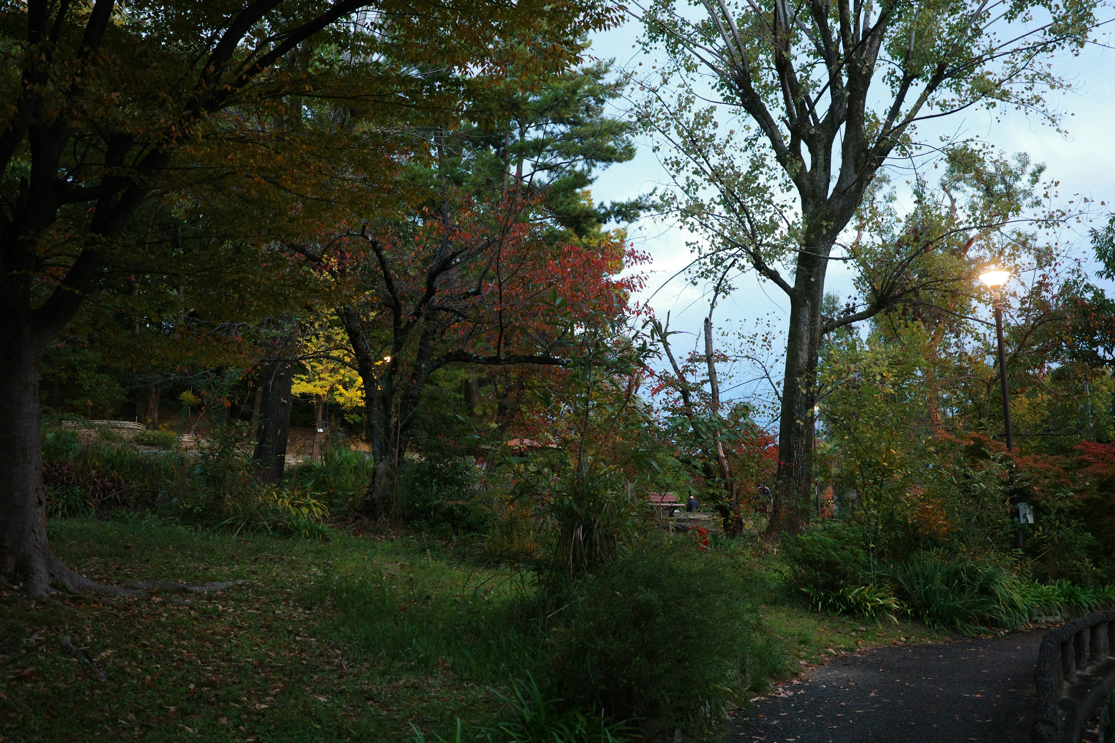 A scenic view of a park with autumn-colored trees