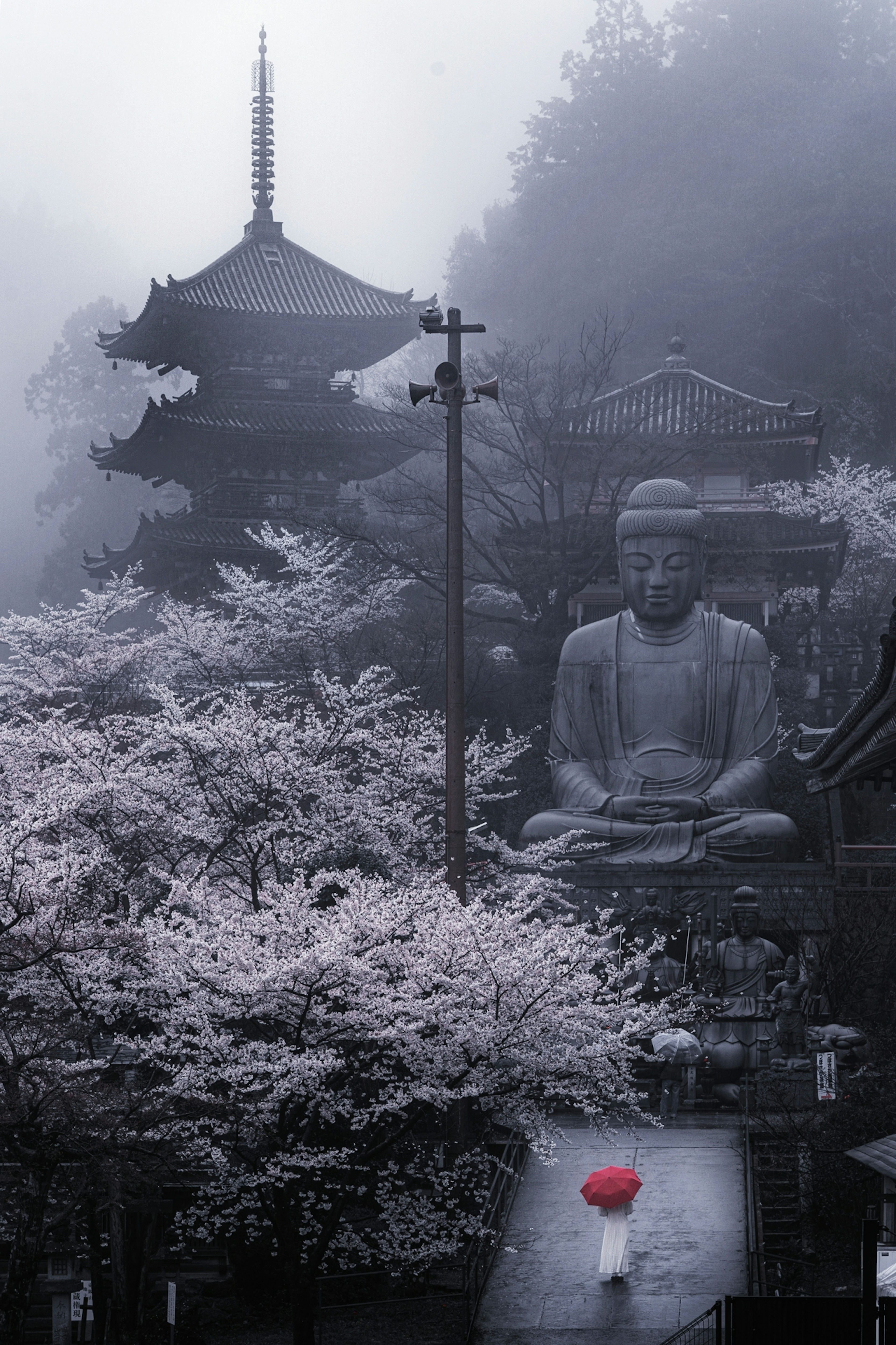 霧の中に立つ大仏と桜の木が印象的な風景