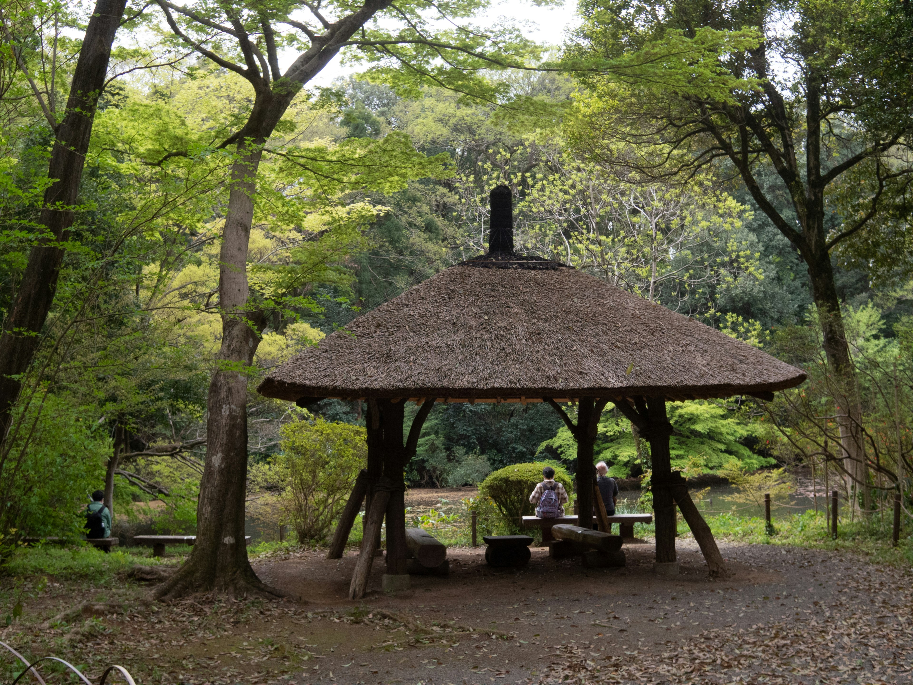 森の中にある茅葺きの休憩所で人々がくつろいでいる風景