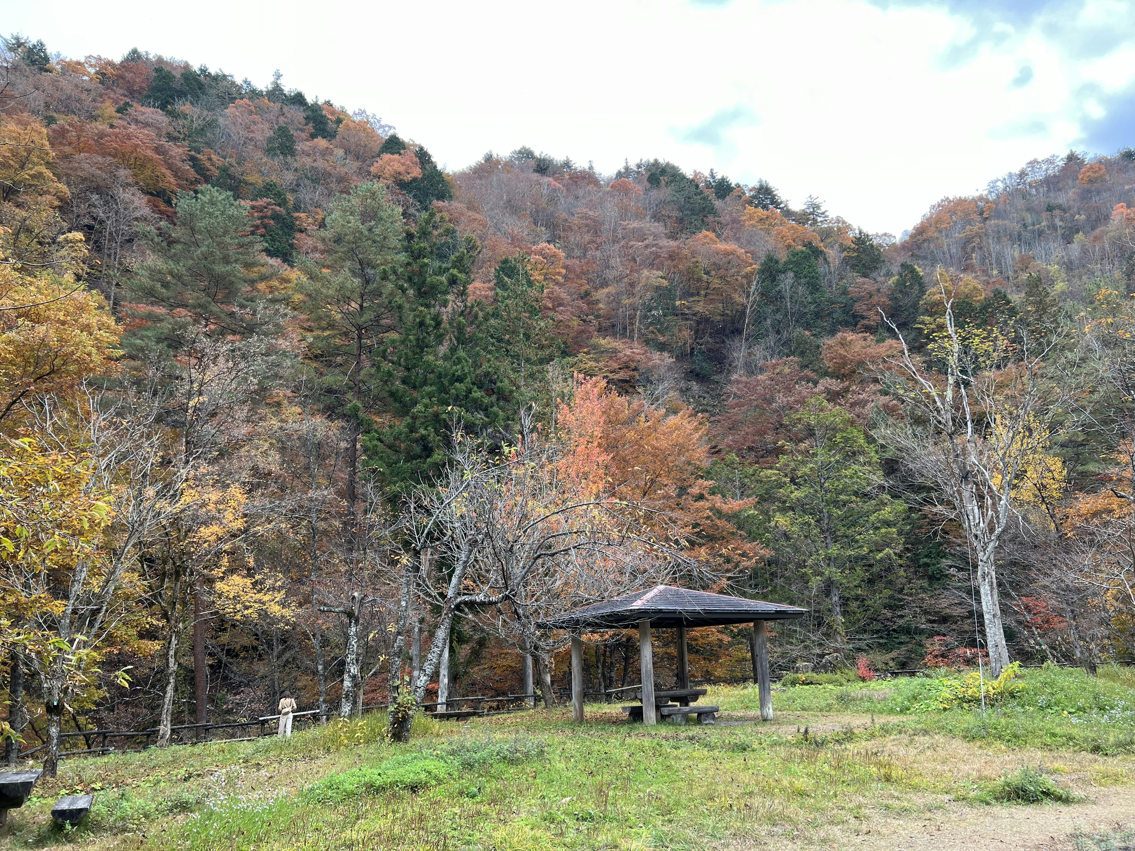 Vue pittoresque d'une forêt d'automne avec un feuillage coloré et un petit gazebo