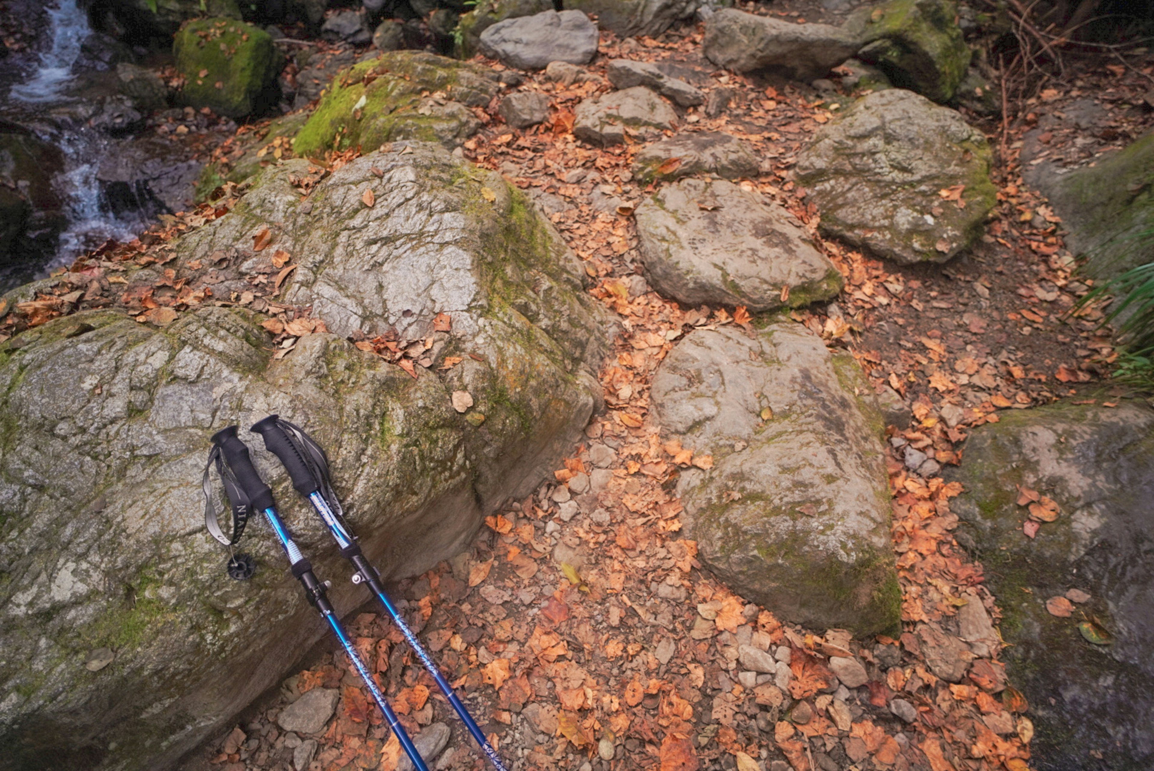 View of a hiking trail covered with rocks and autumn leaves