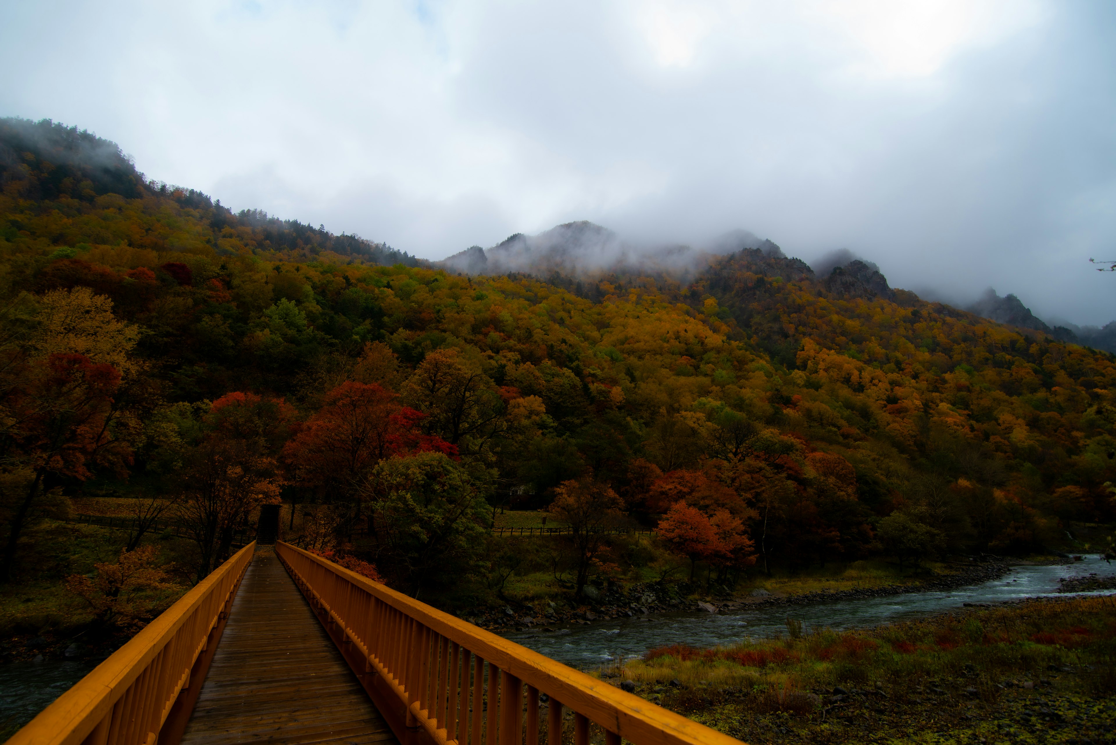 Vue pittoresque d'un pont entouré de feuillage automnal coloré