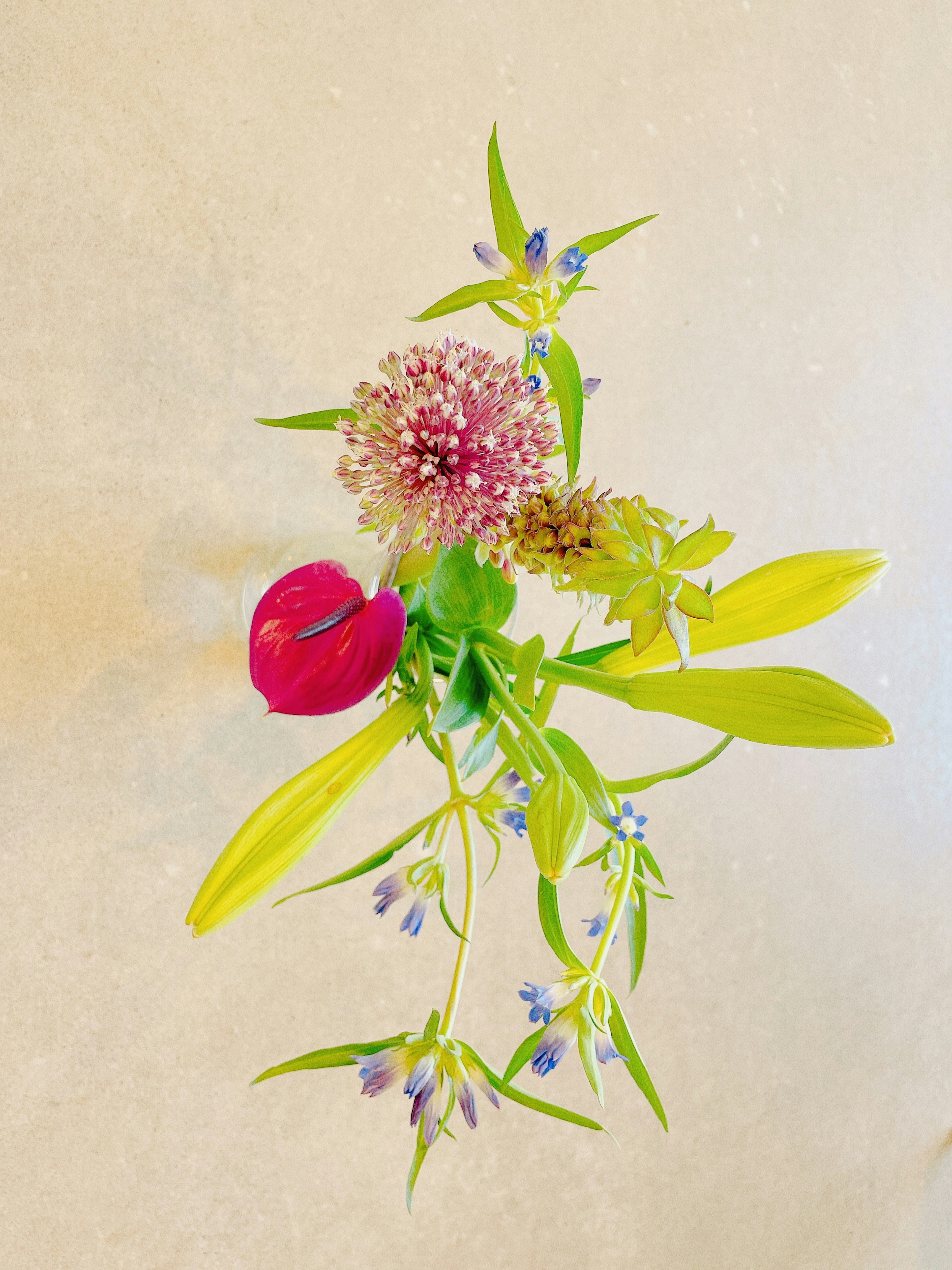 Colorful bouquet arrangement featuring various flowers and leaves