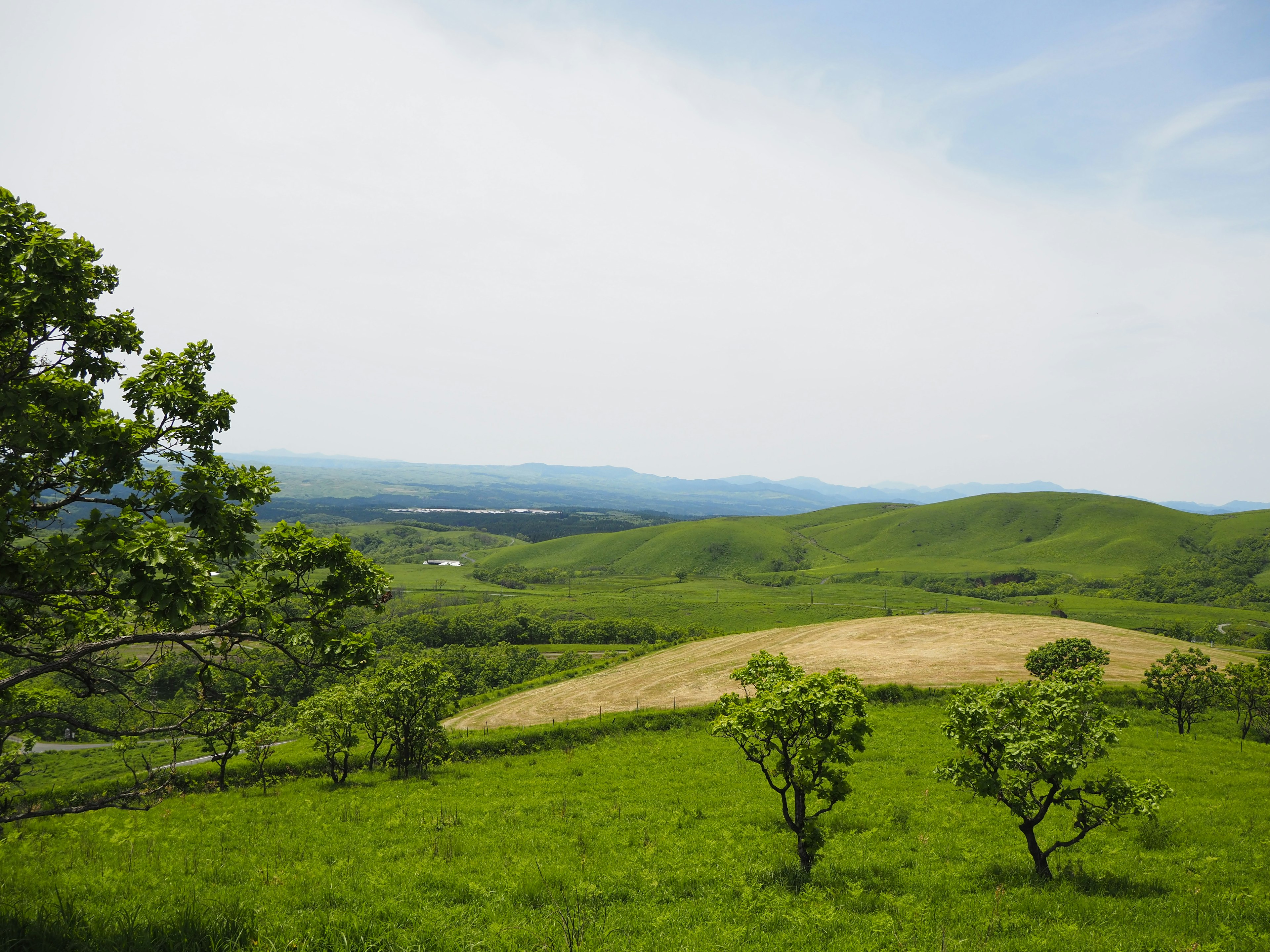 Collines verdoyantes sous un ciel bleu avec des montagnes au loin