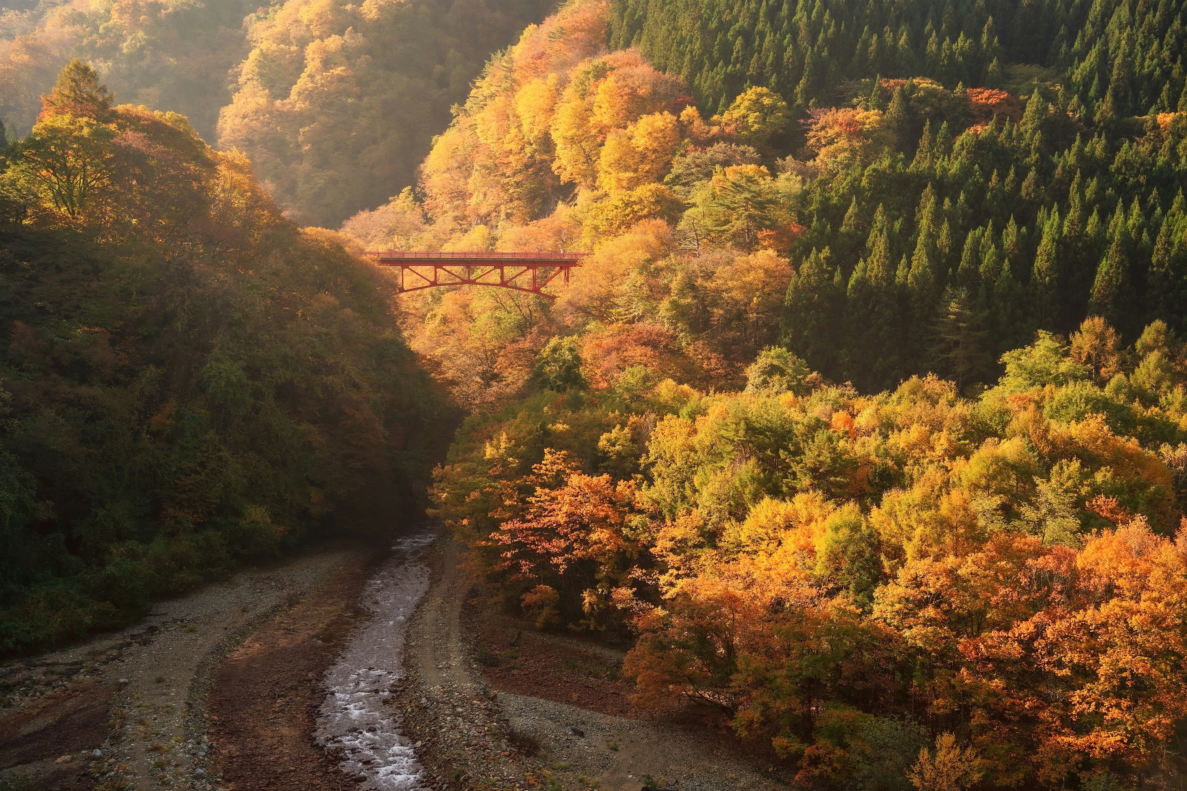 秋の山々と色づいた木々が広がる風景