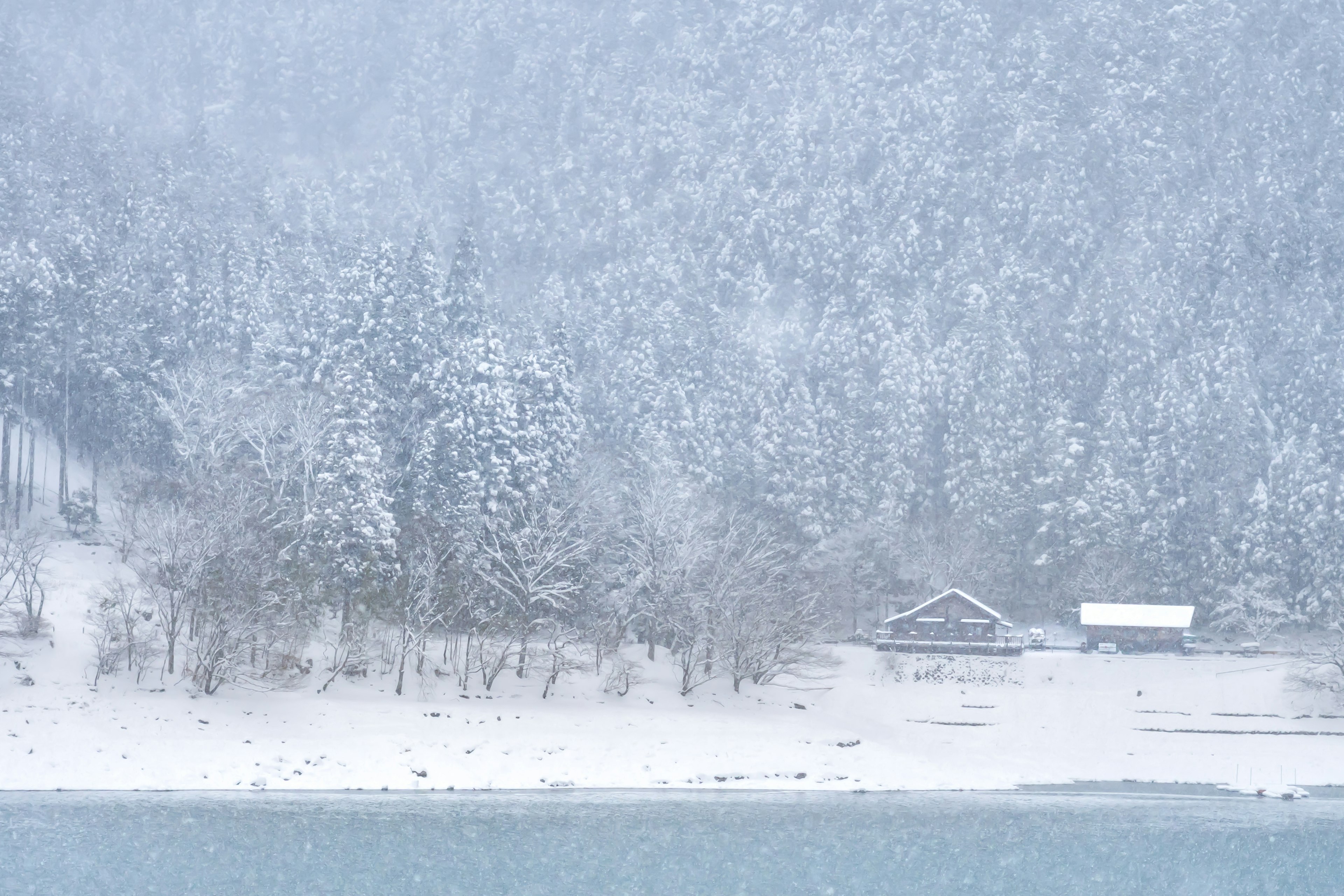 雪覆盖的森林和湖泊场景，隐约可见小屋