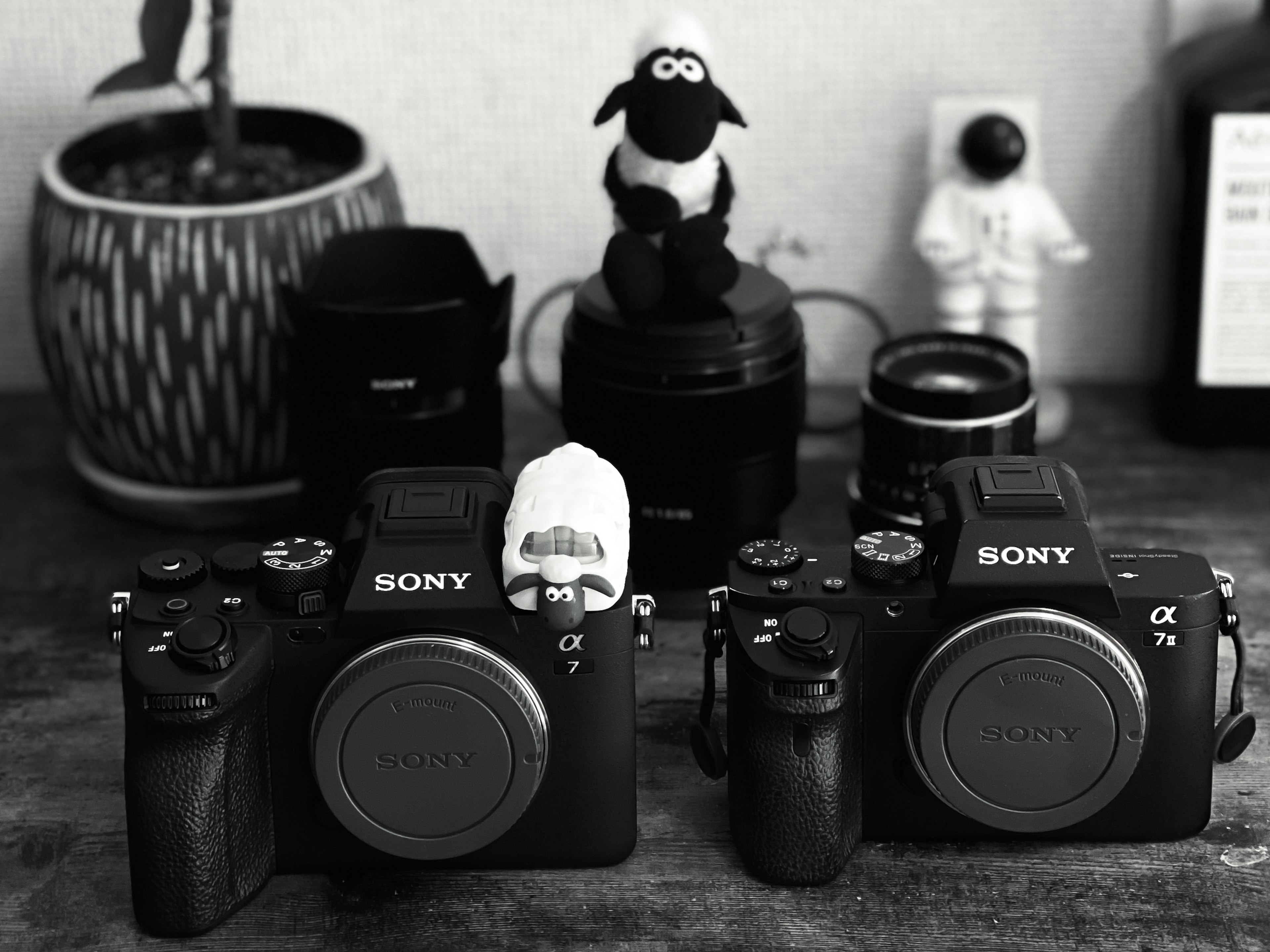 Two Sony cameras positioned side by side with decorative items in the background