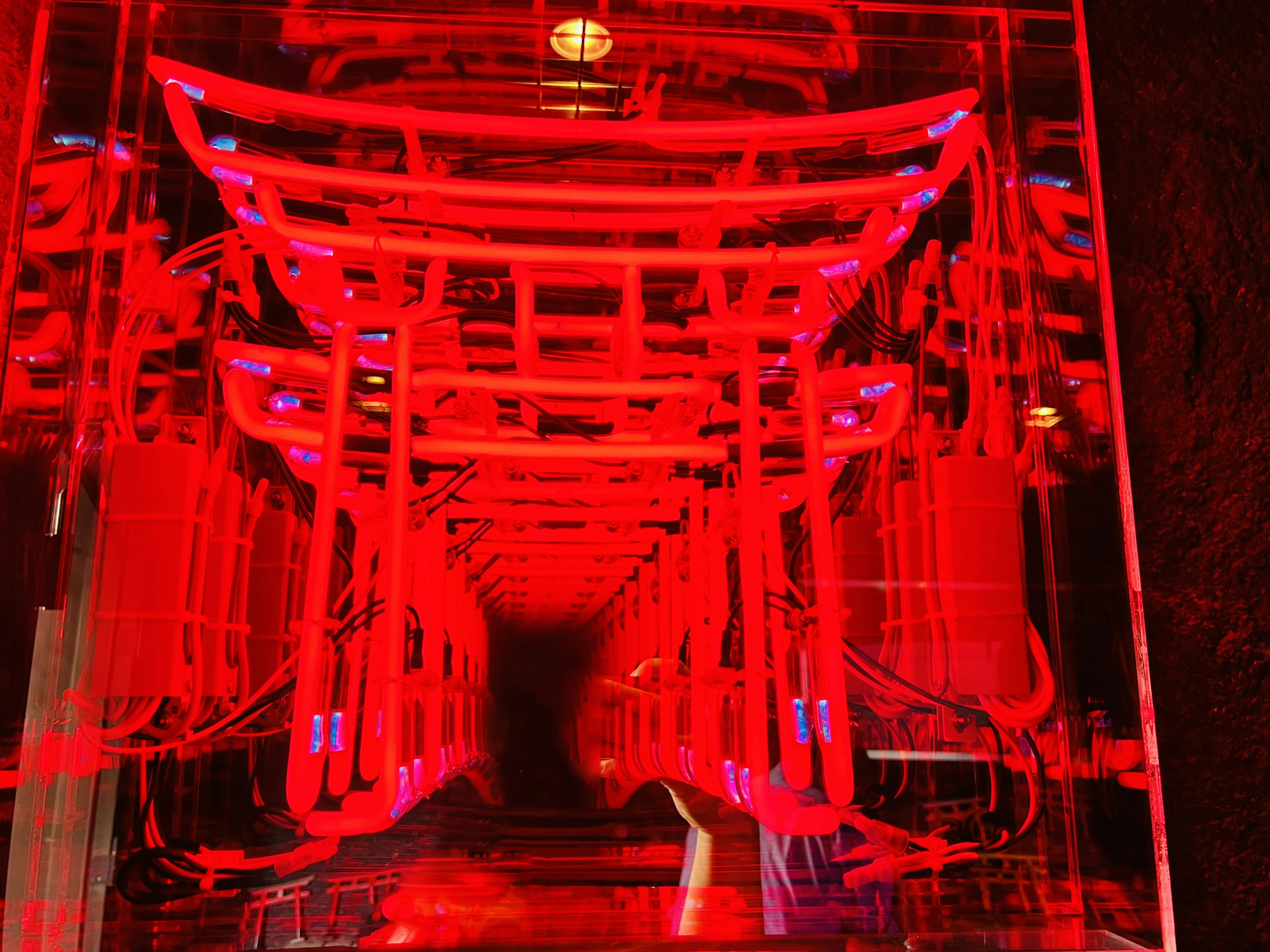 Struttura a tunnel che somiglia a porte torii illuminate da luci rosse