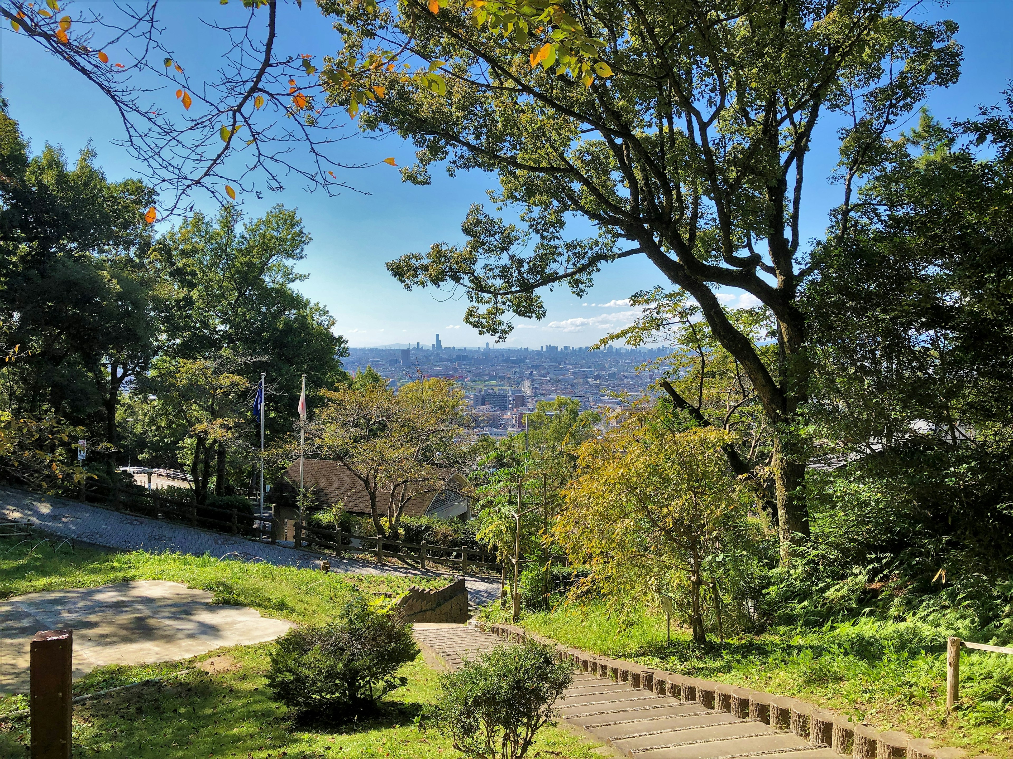 Vista panoramica di un parco lussureggiante con skyline di città in lontananza