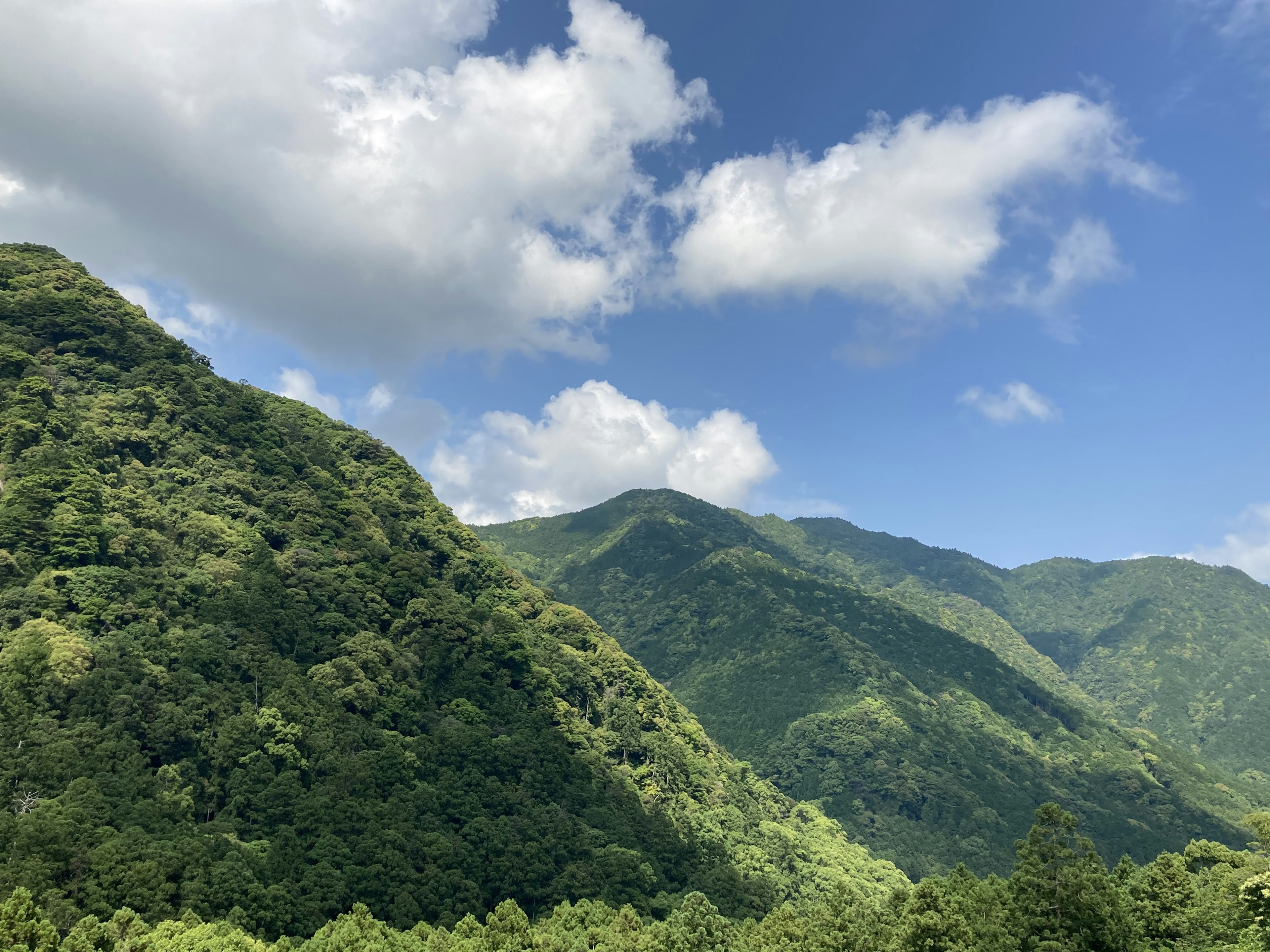 Montagne verdi lussureggianti sotto un cielo azzurro